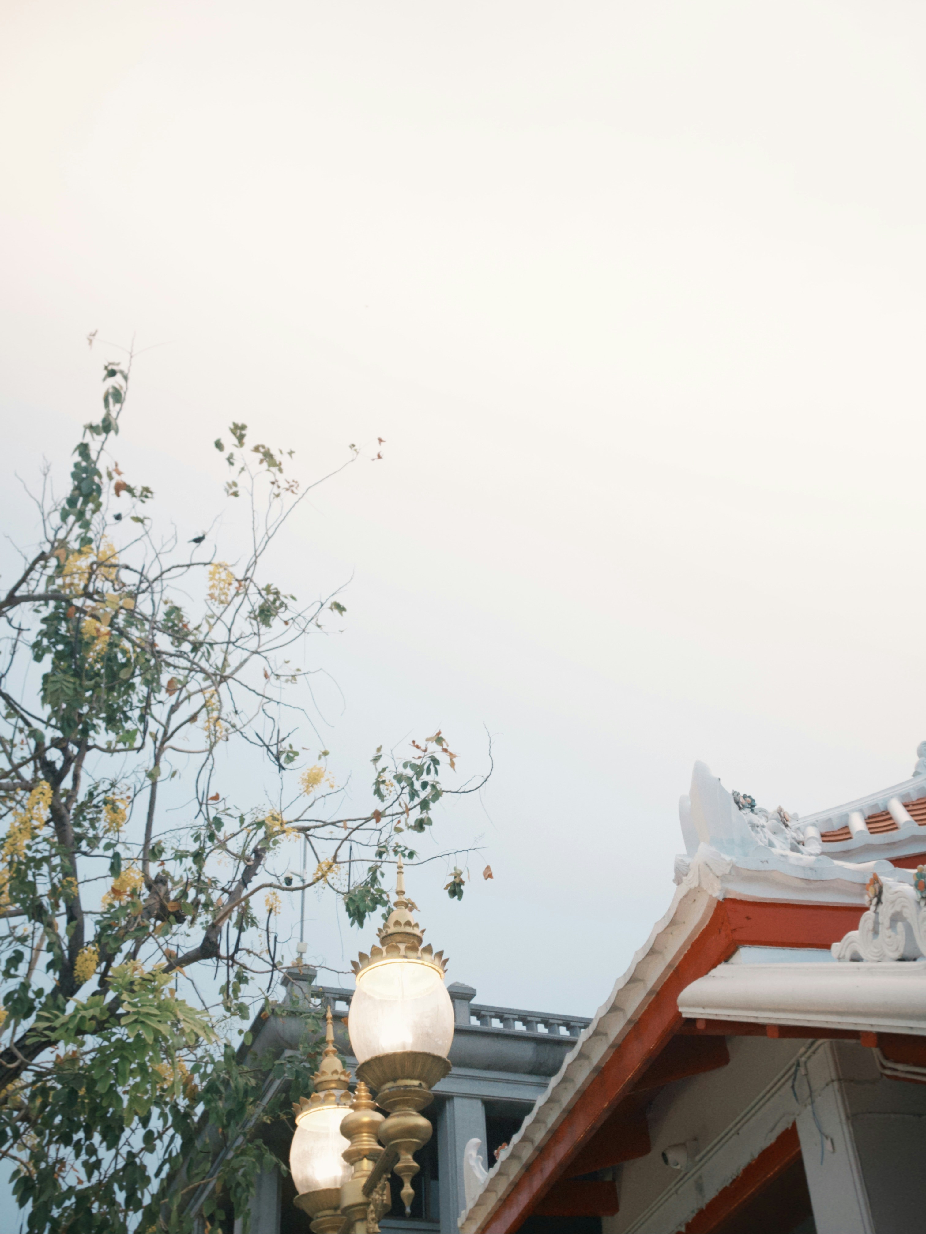 Photo by hwazifl0wer