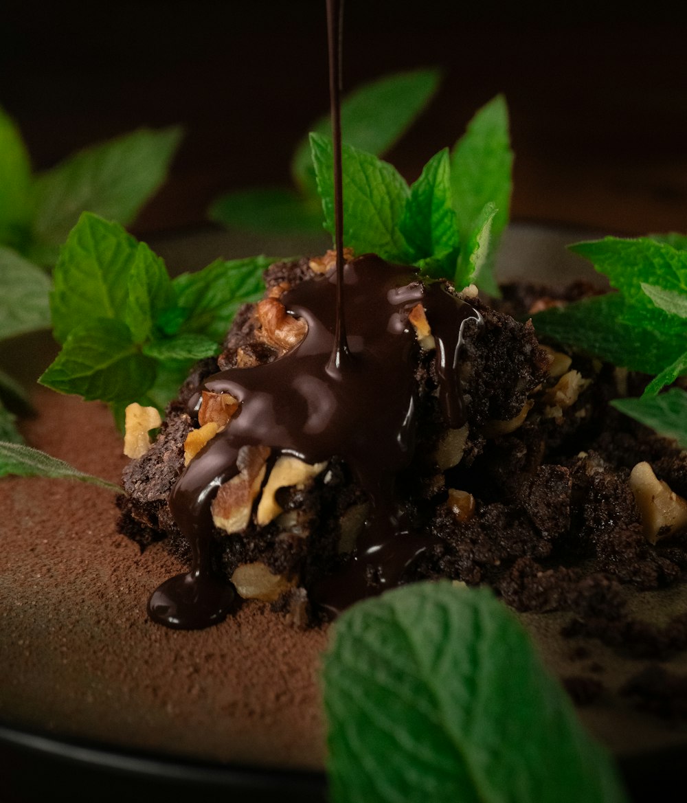 a chocolate dessert with mint leaves on a plate