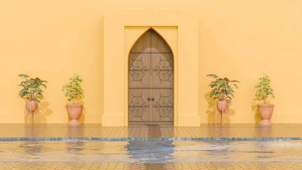a door is open in front of a yellow wall with potted plants