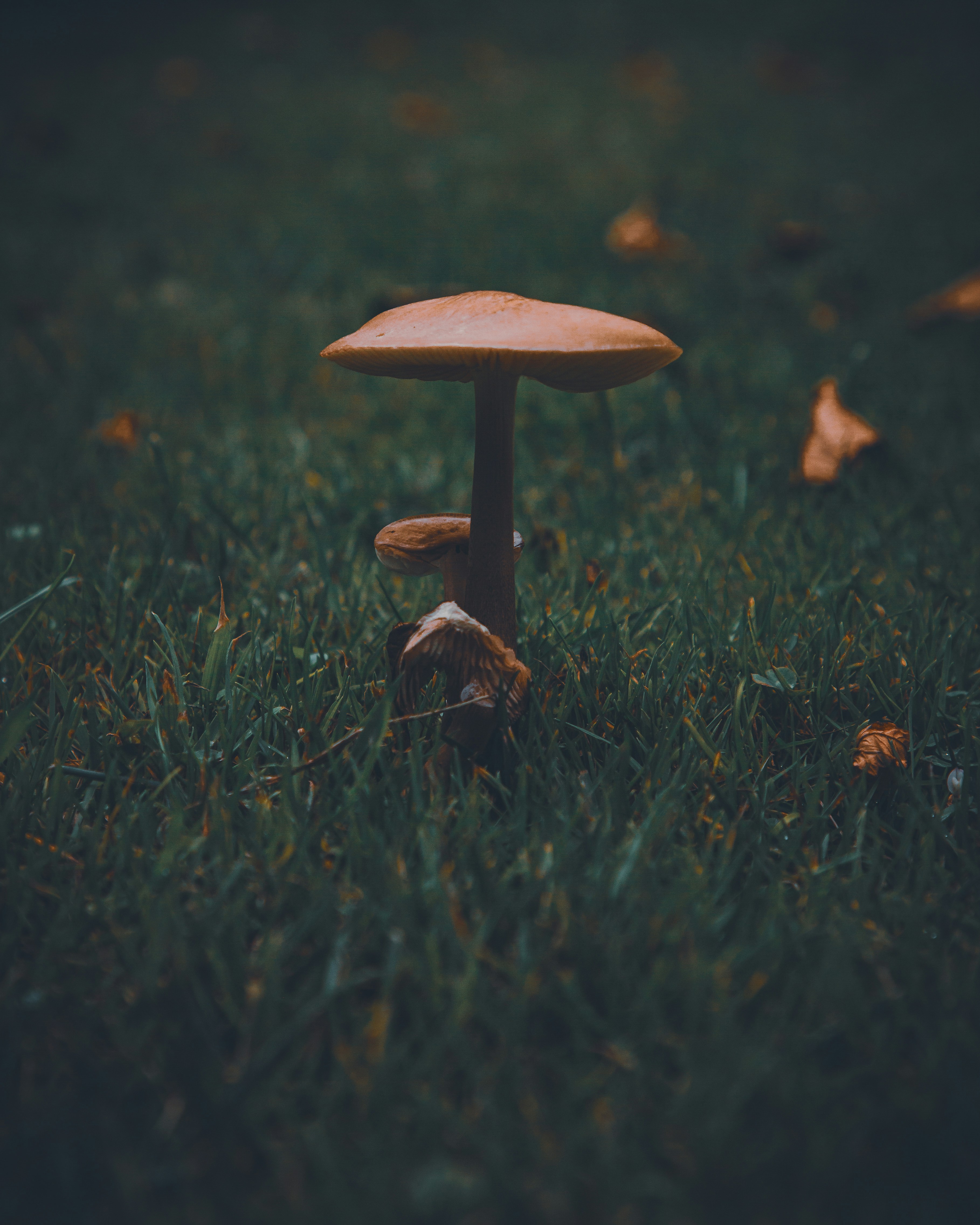 Photo by luke_photography