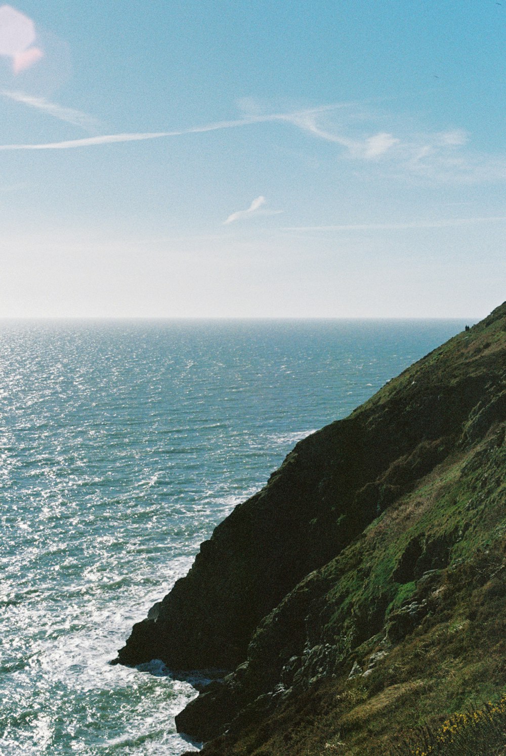 a couple of sheep standing on top of a lush green hillside