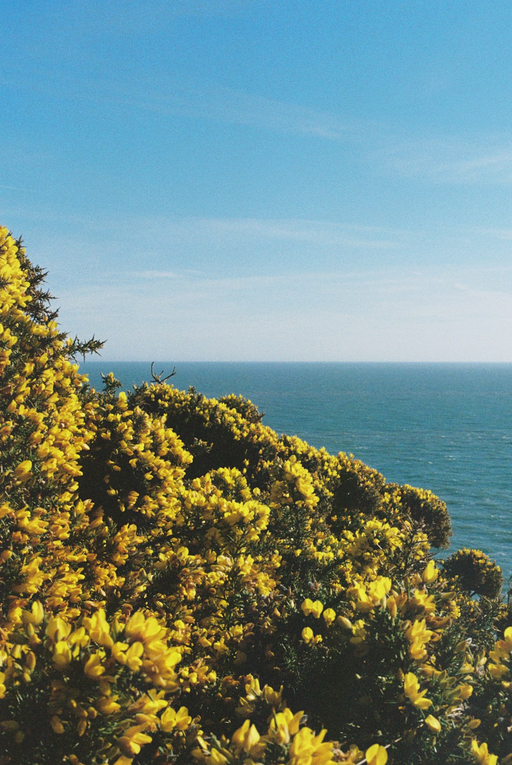 a view of a body of water from a hill