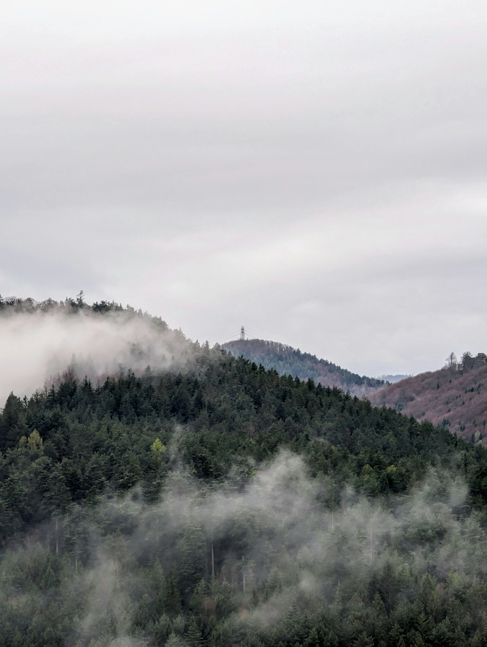 a mountain covered in fog with trees in the foreground