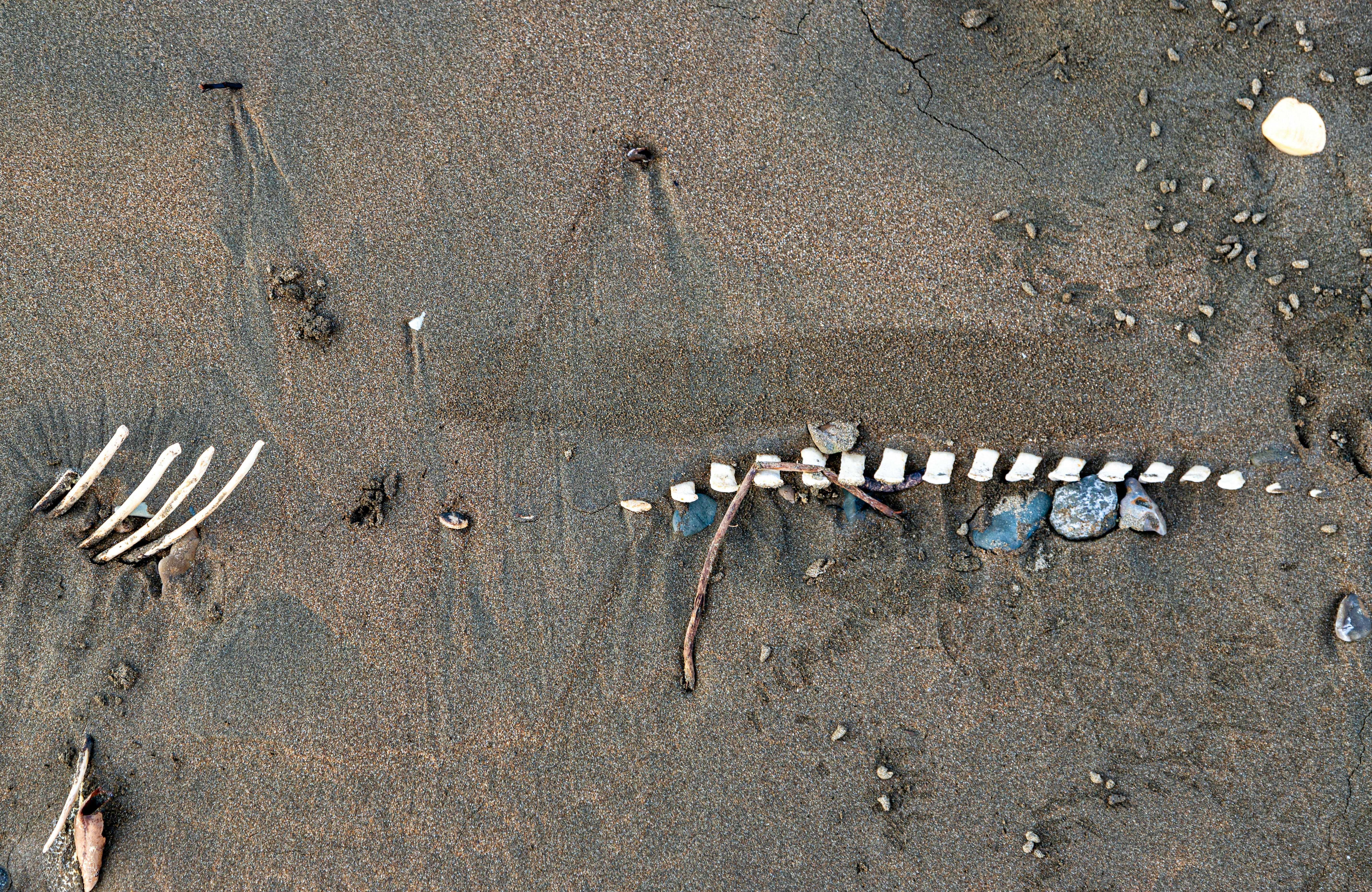 俄烏戰爭升級：582次攻擊襲烏前官員遇害