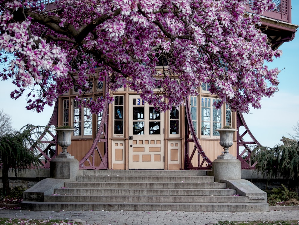 a tree with purple flowers in front of a building