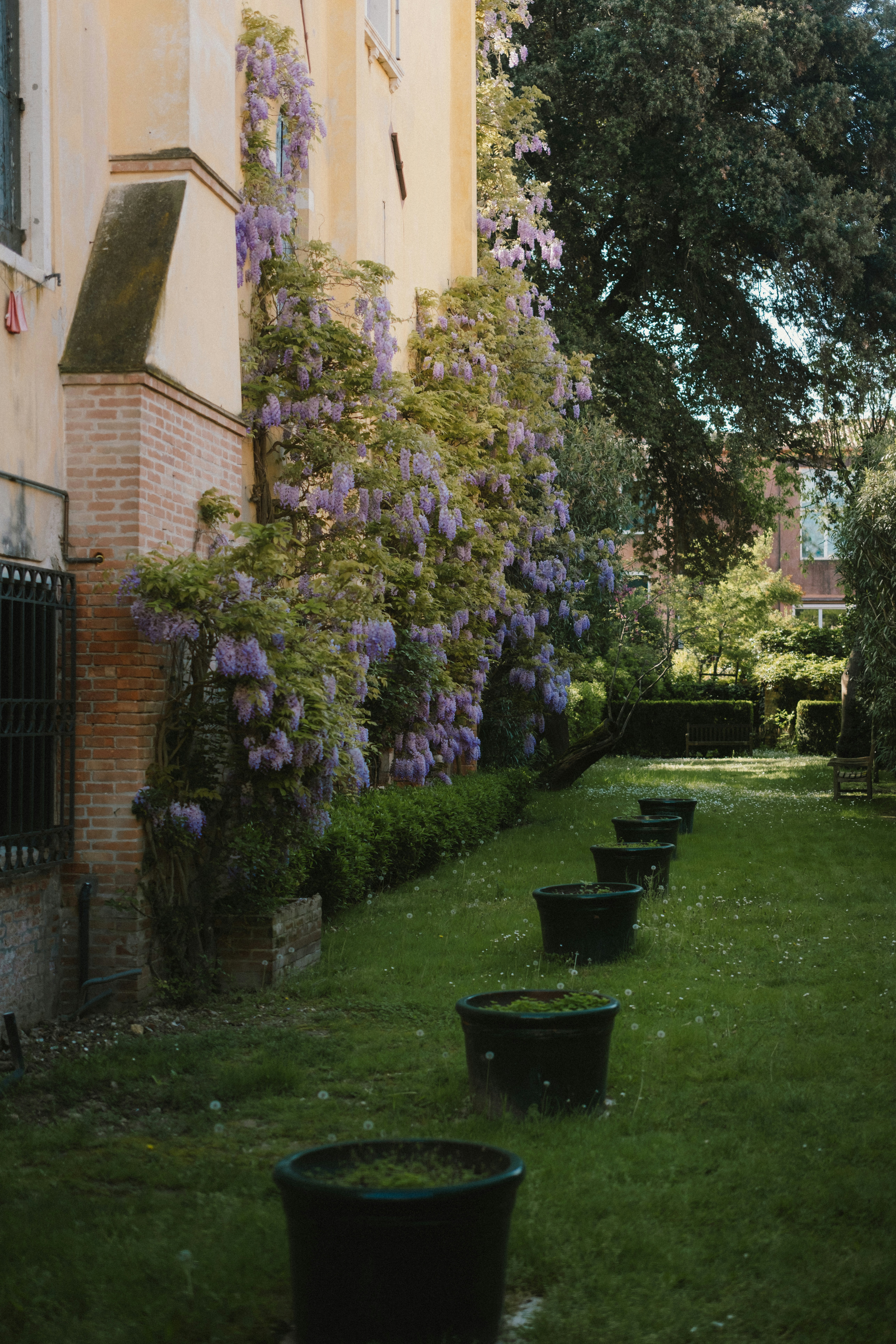 a row of buckets sitting on top of a lush green field
