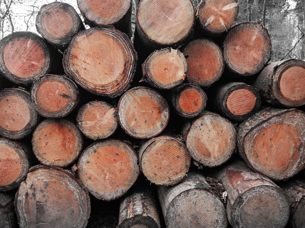 a pile of logs stacked on top of each other