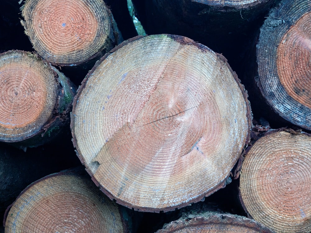 a pile of cut logs stacked on top of each other