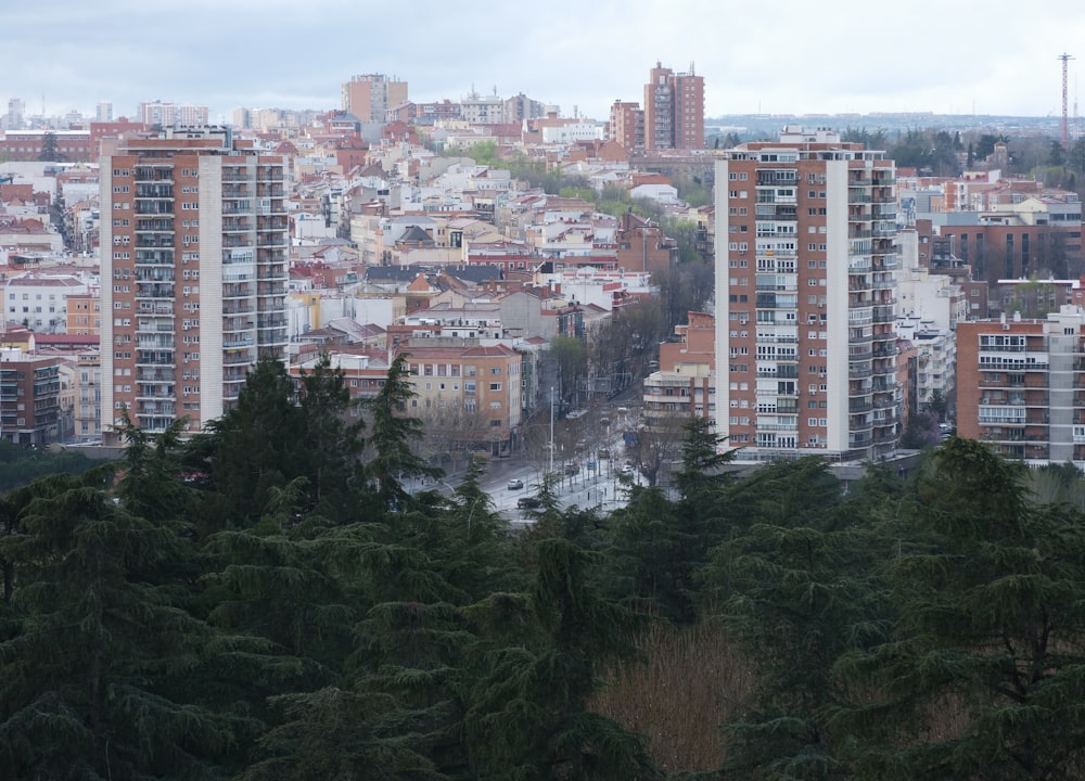 a city with lots of tall buildings and lots of trees