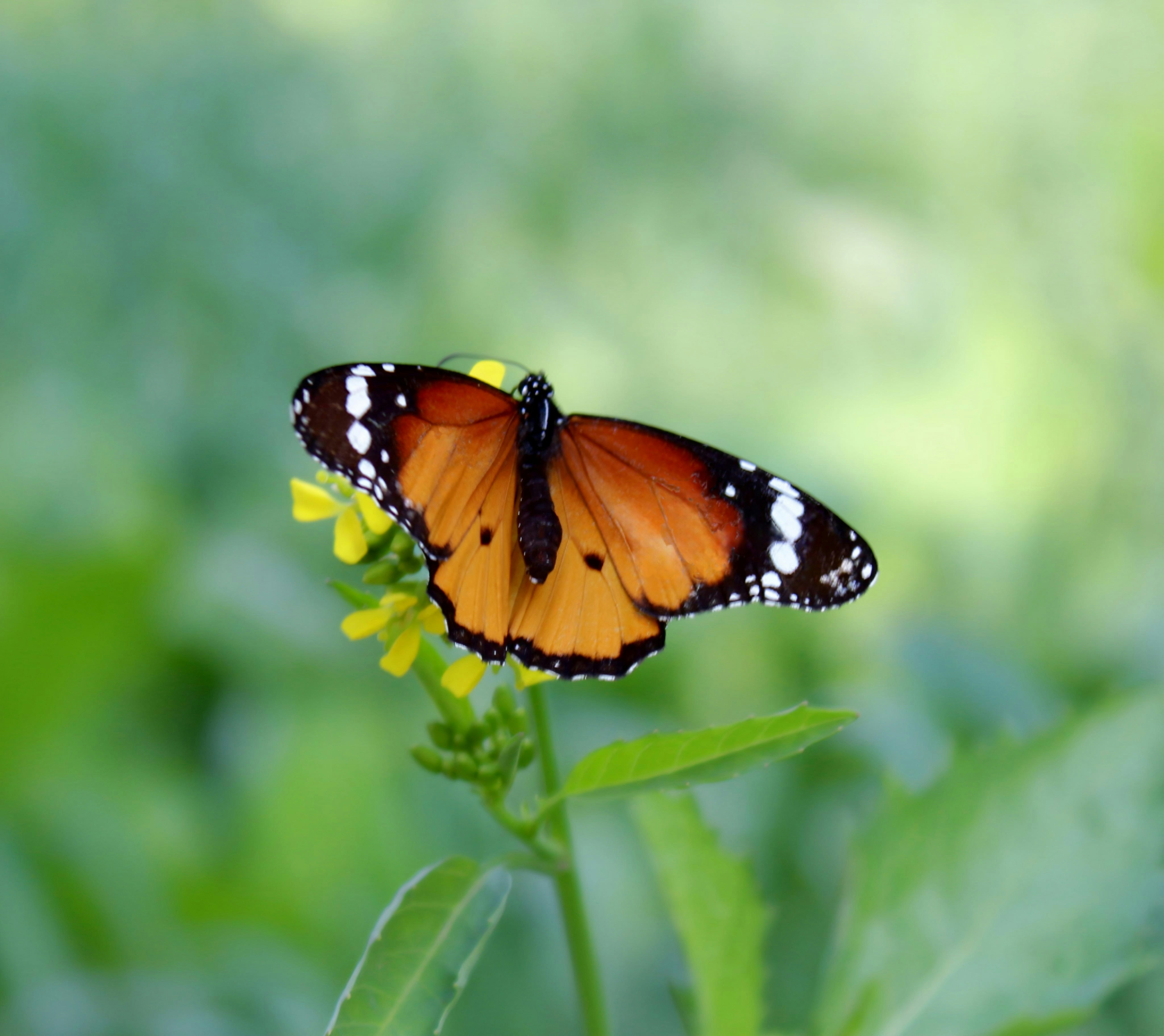 Photo by letsclickpics