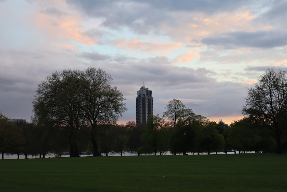 a grassy field with trees and a building in the background