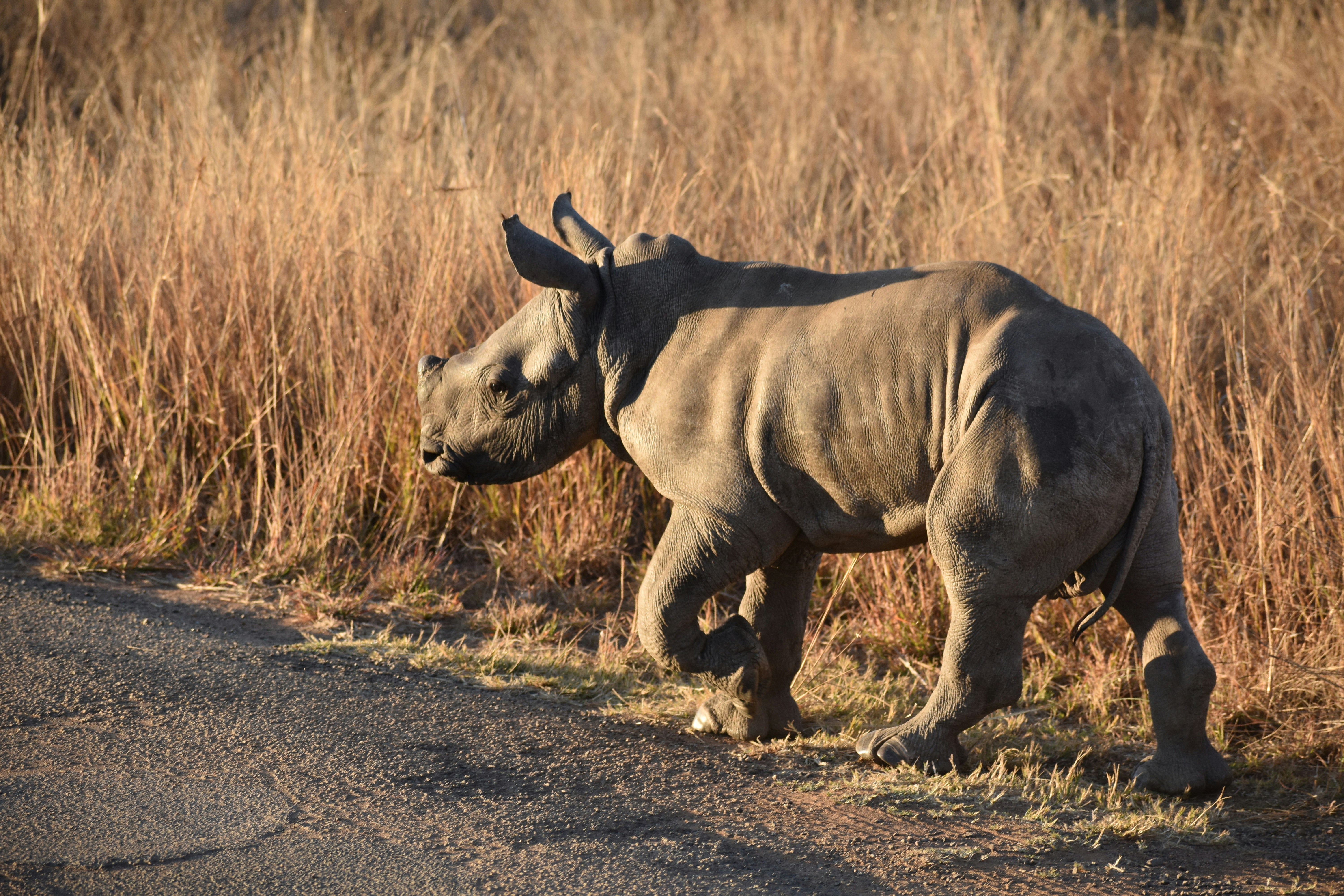 Photo by capturedmemory