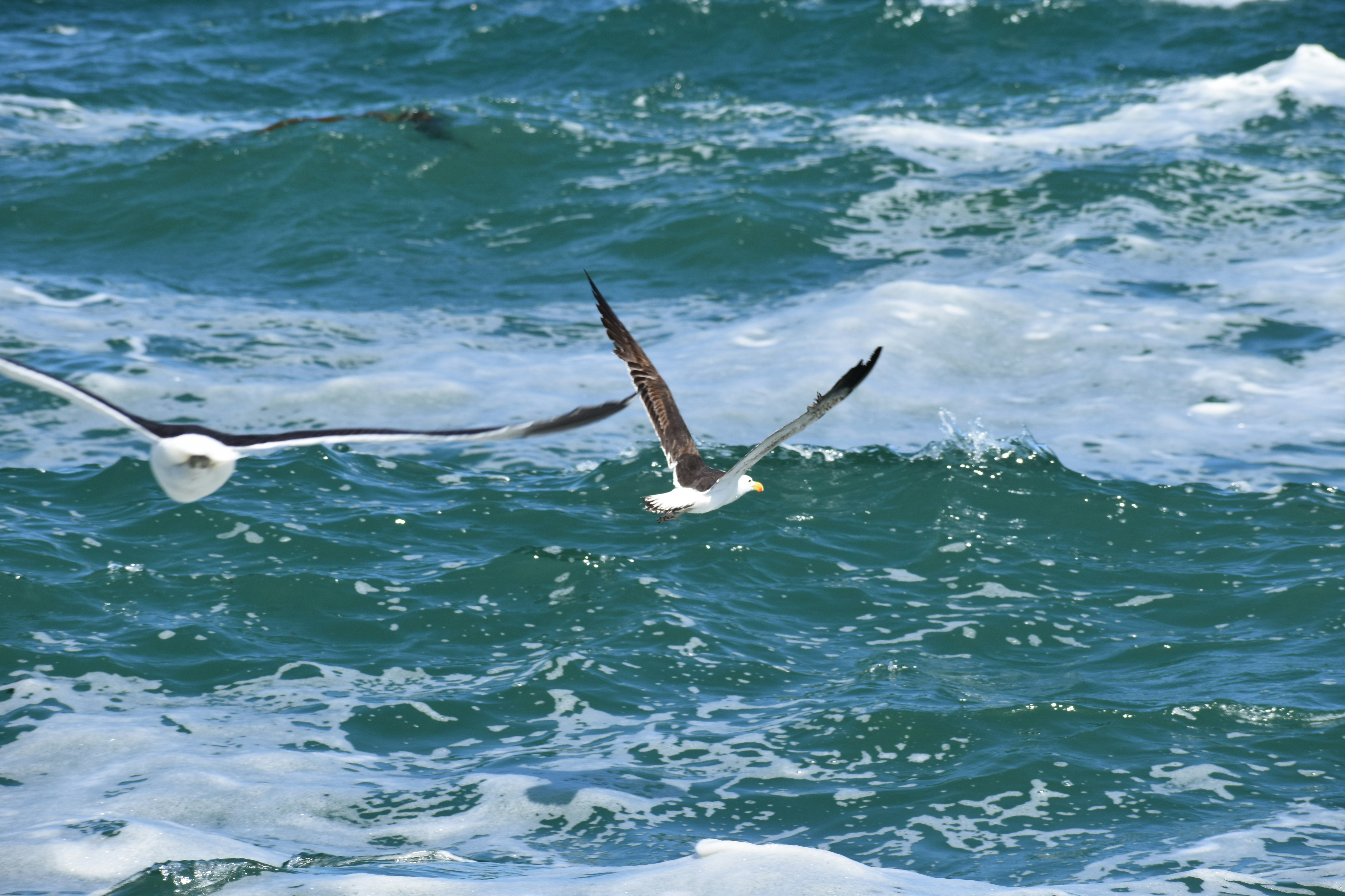 Photo by capturedmemory