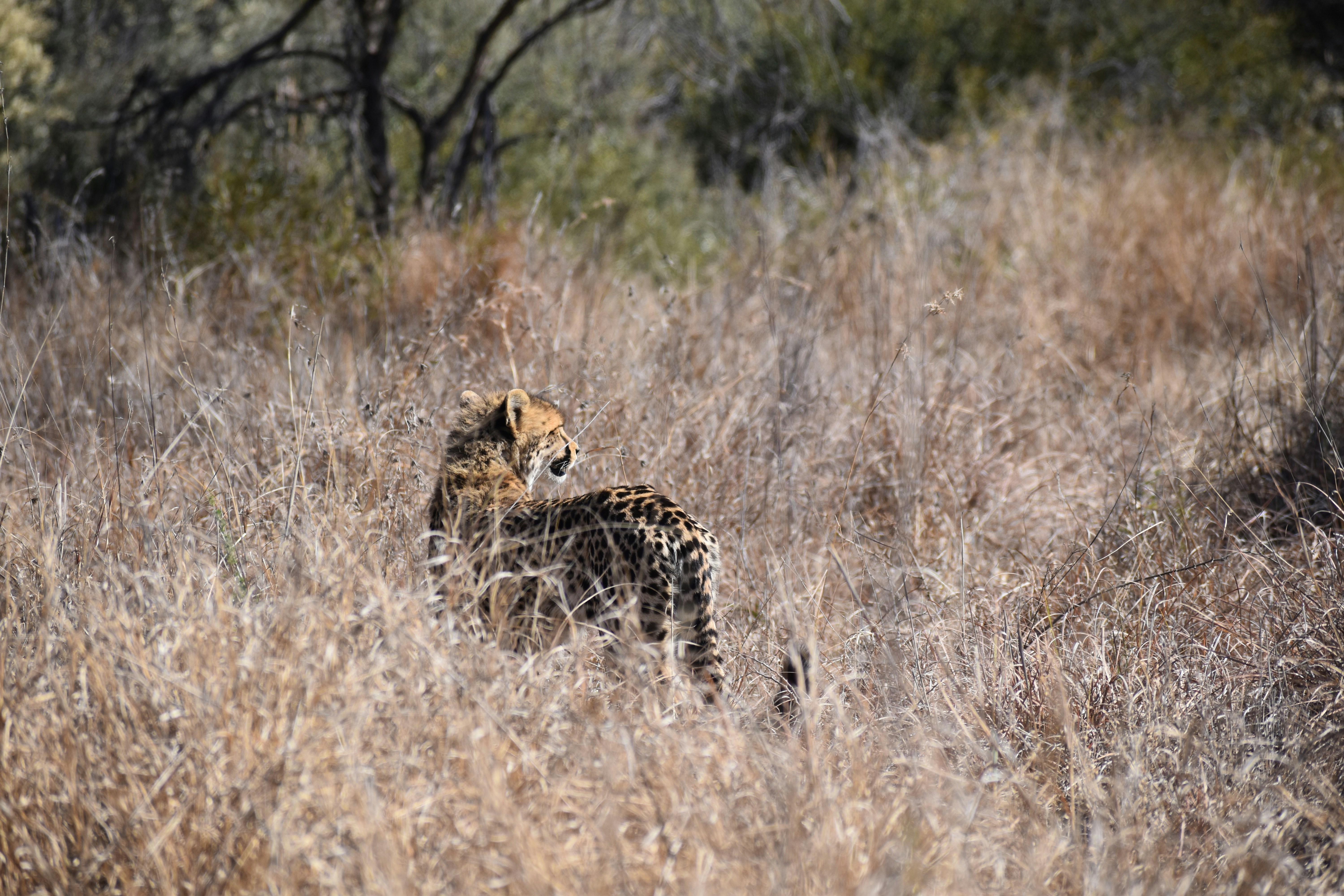 Photo by capturedmemory