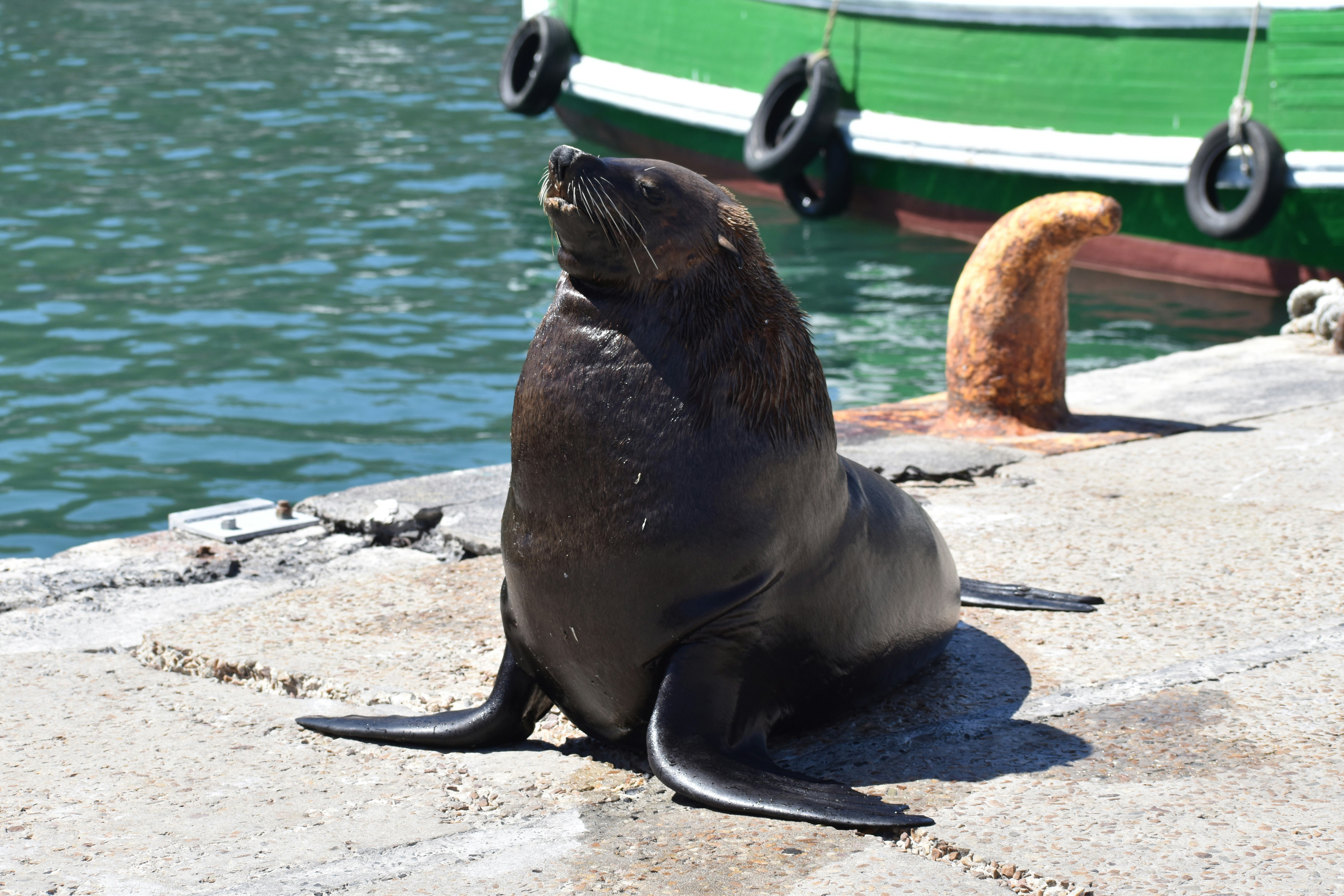 Photo by capturedmemory