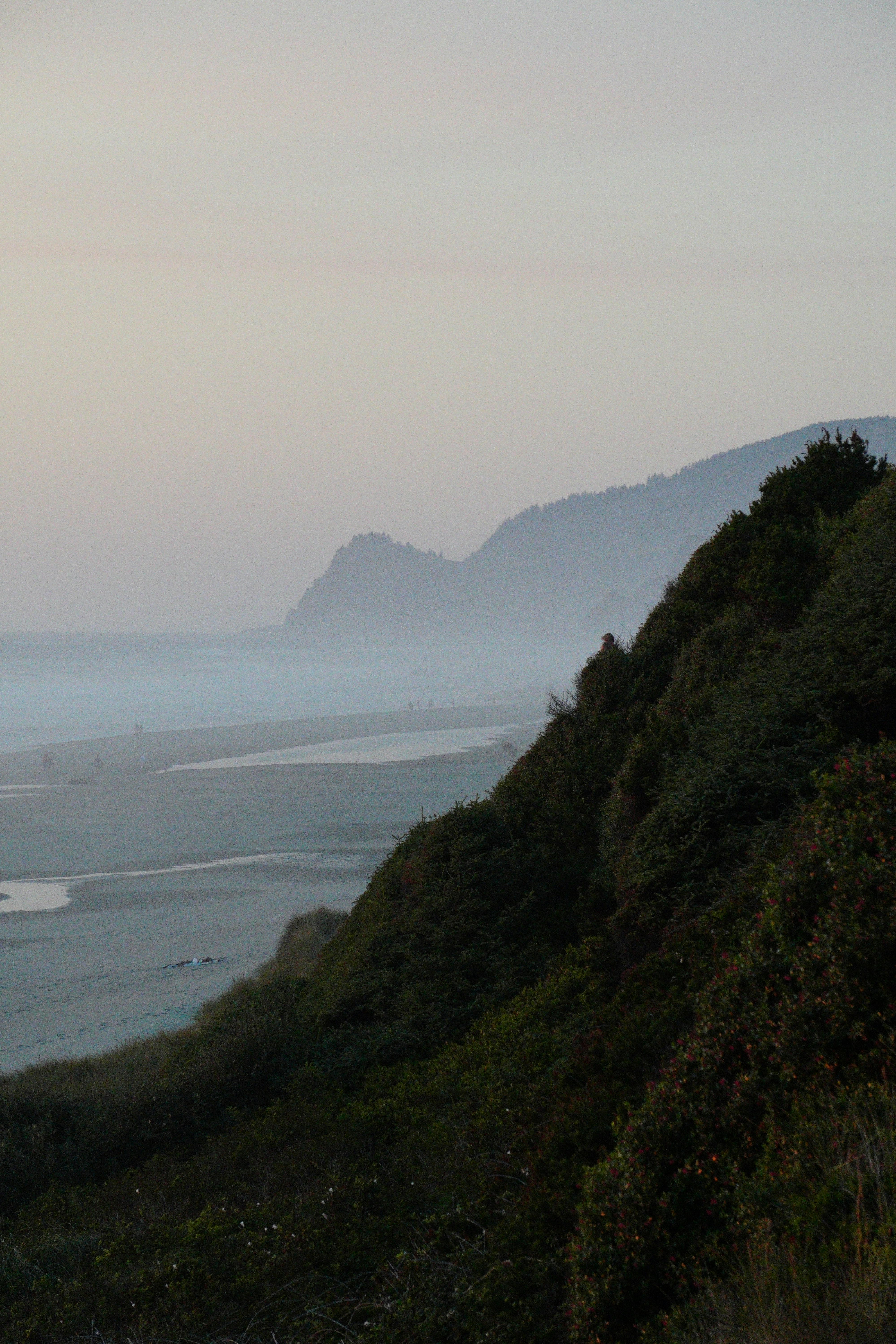 Photo by kooyy