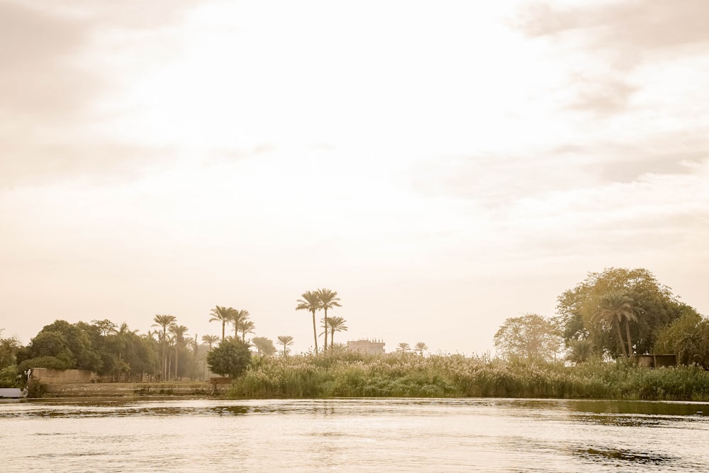 a body of water with trees in the background