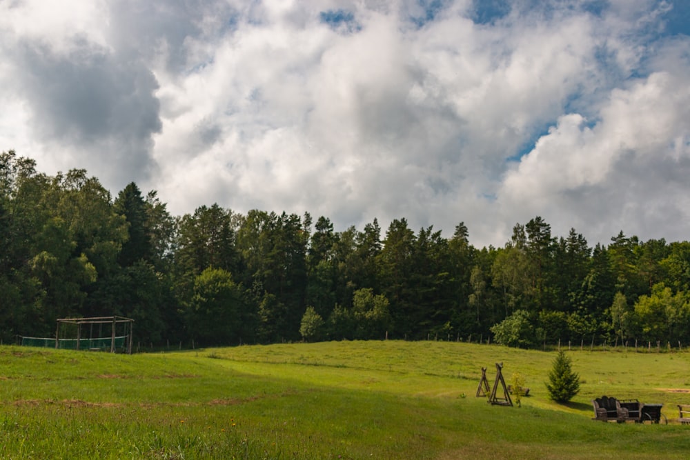 a grassy field with trees in the background