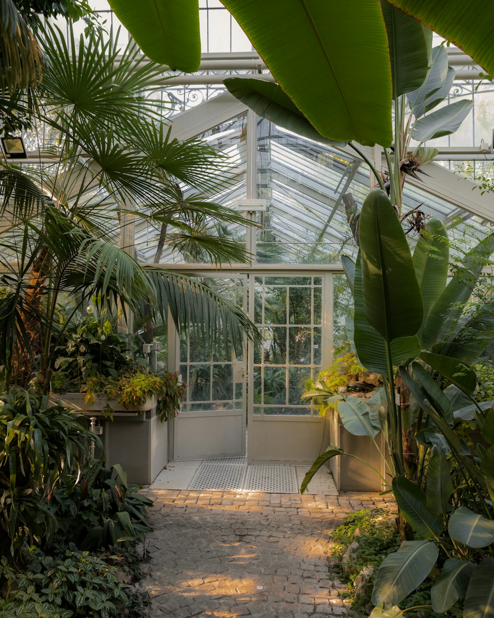 a walkway leading to a greenhouse with lots of plants