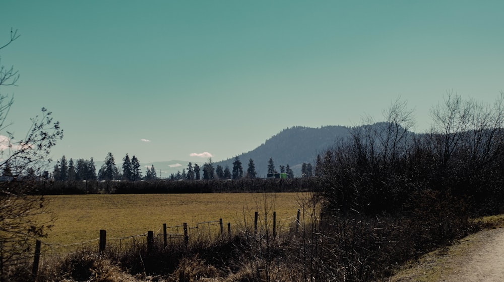 a dirt road in the middle of a field