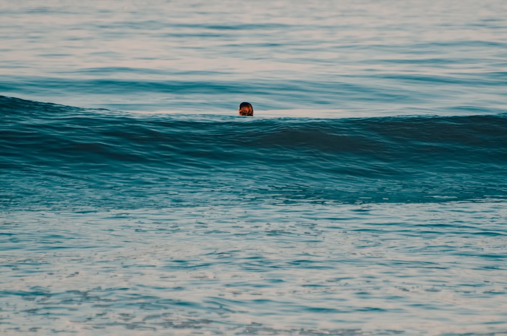 a person swimming in the ocean on a surfboard