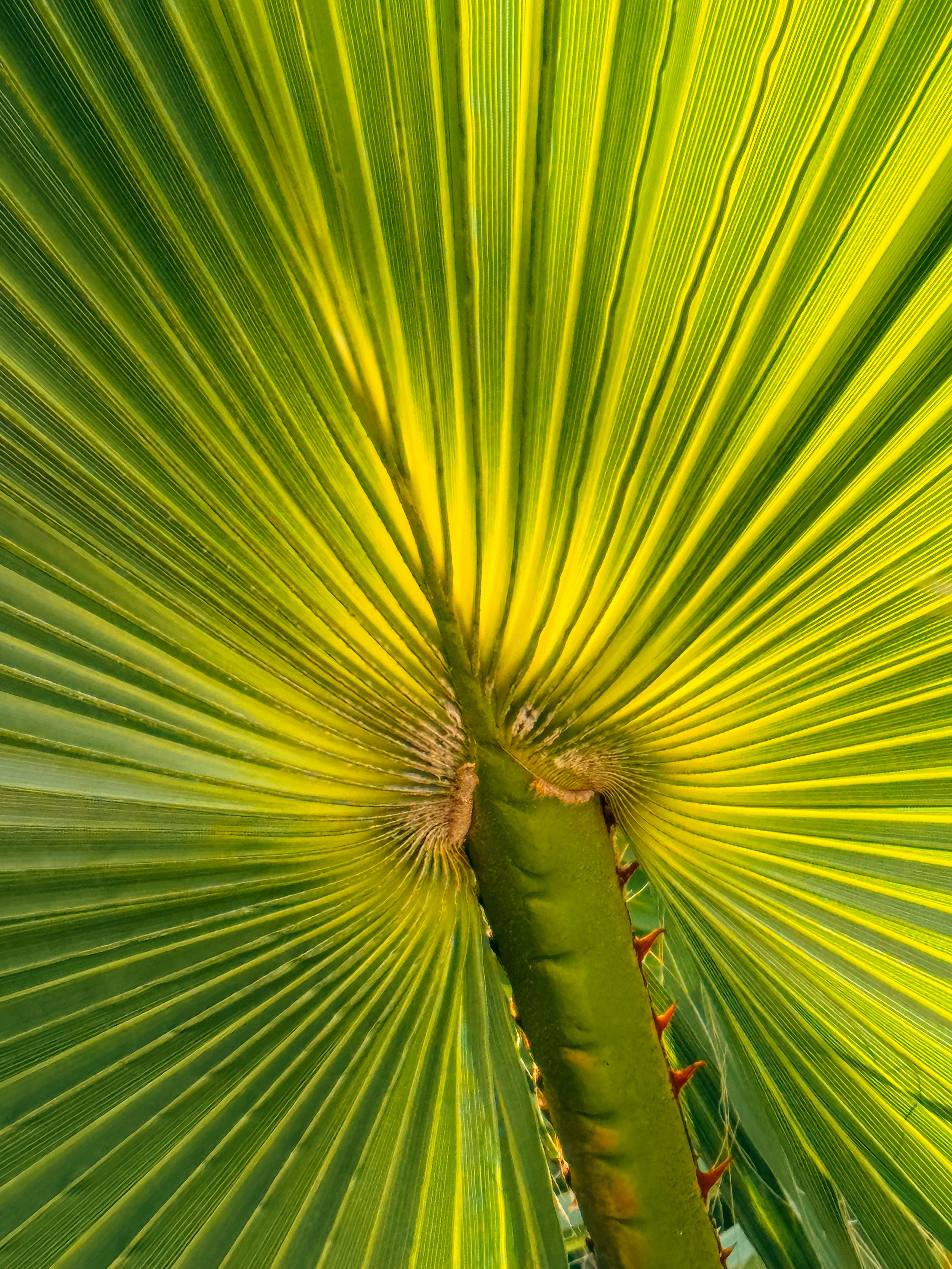 Photo by kwestioning