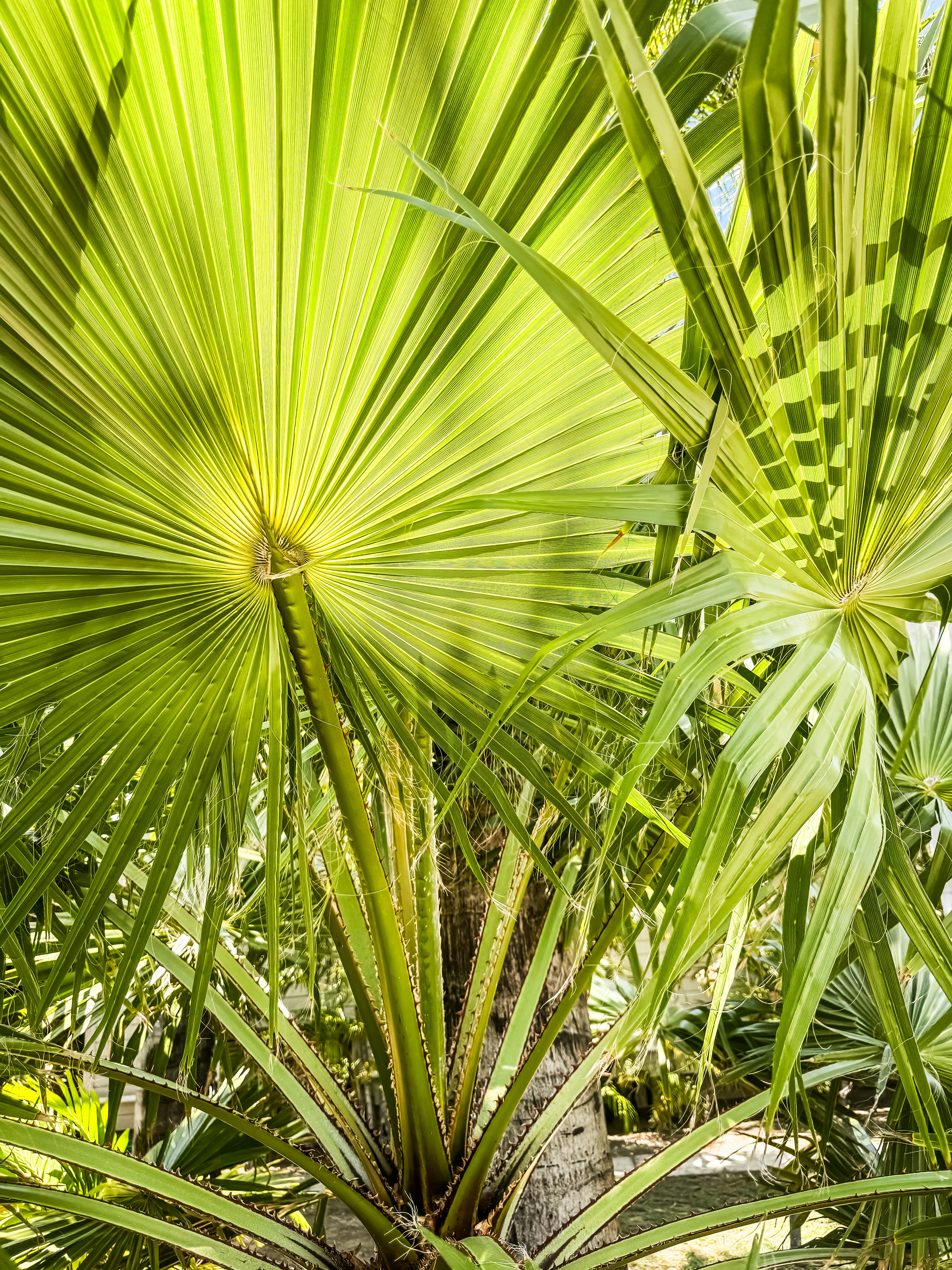 Photo by kwestioning