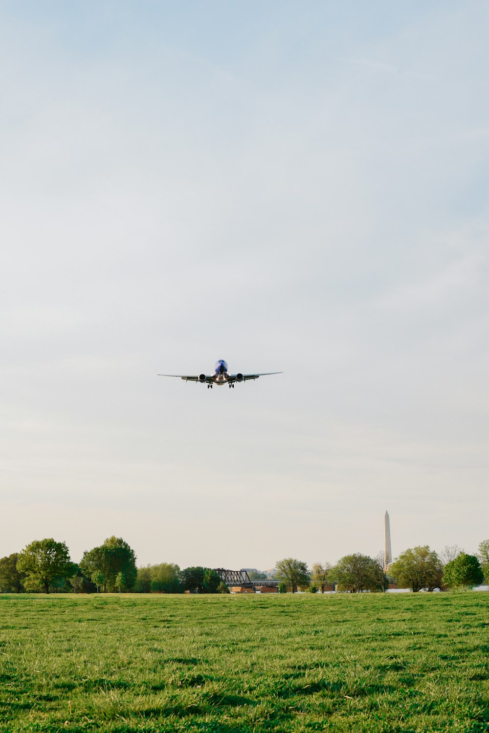 Ein Flugzeug fliegt über eine Wiese