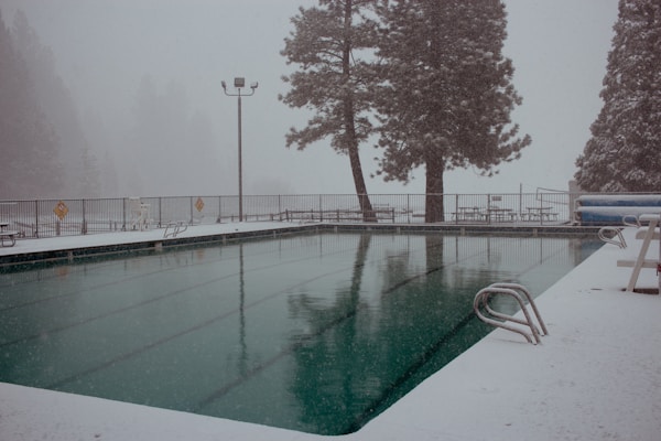 Swimming pool surrounded by snow-covered trees in winter