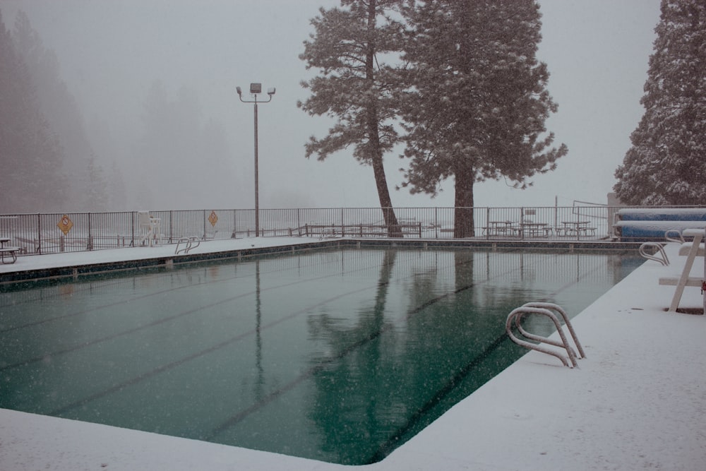 uma grande piscina rodeada por árvores cobertas de neve