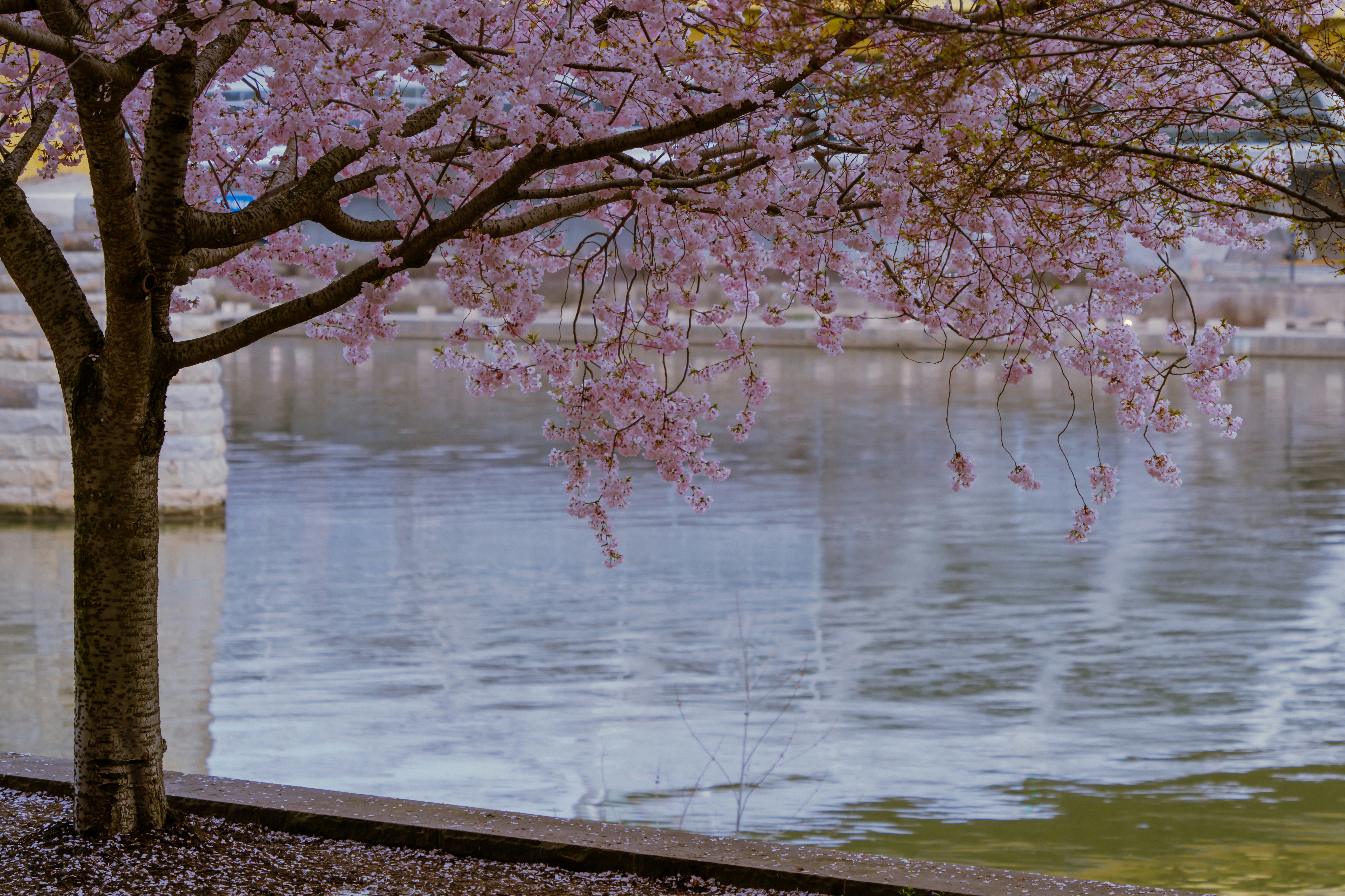 Photo by zhenyao_photo