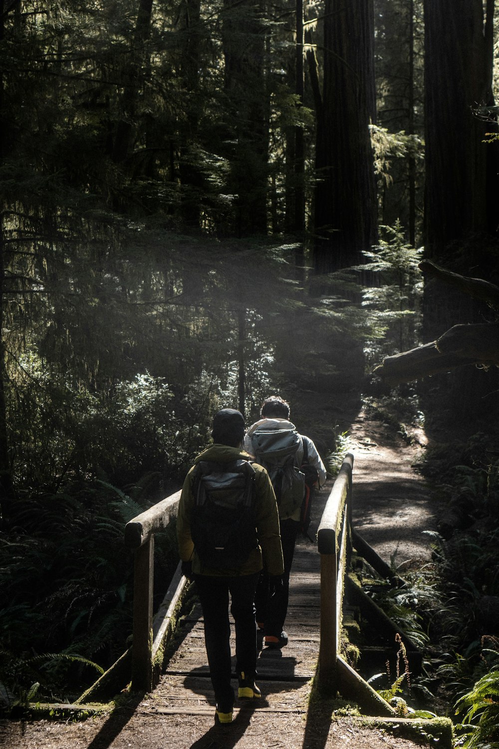 two people walking across a bridge in the woods