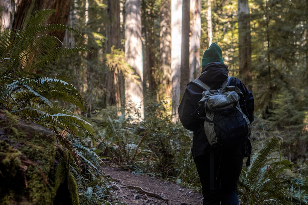 a person with a backpack walking through a forest