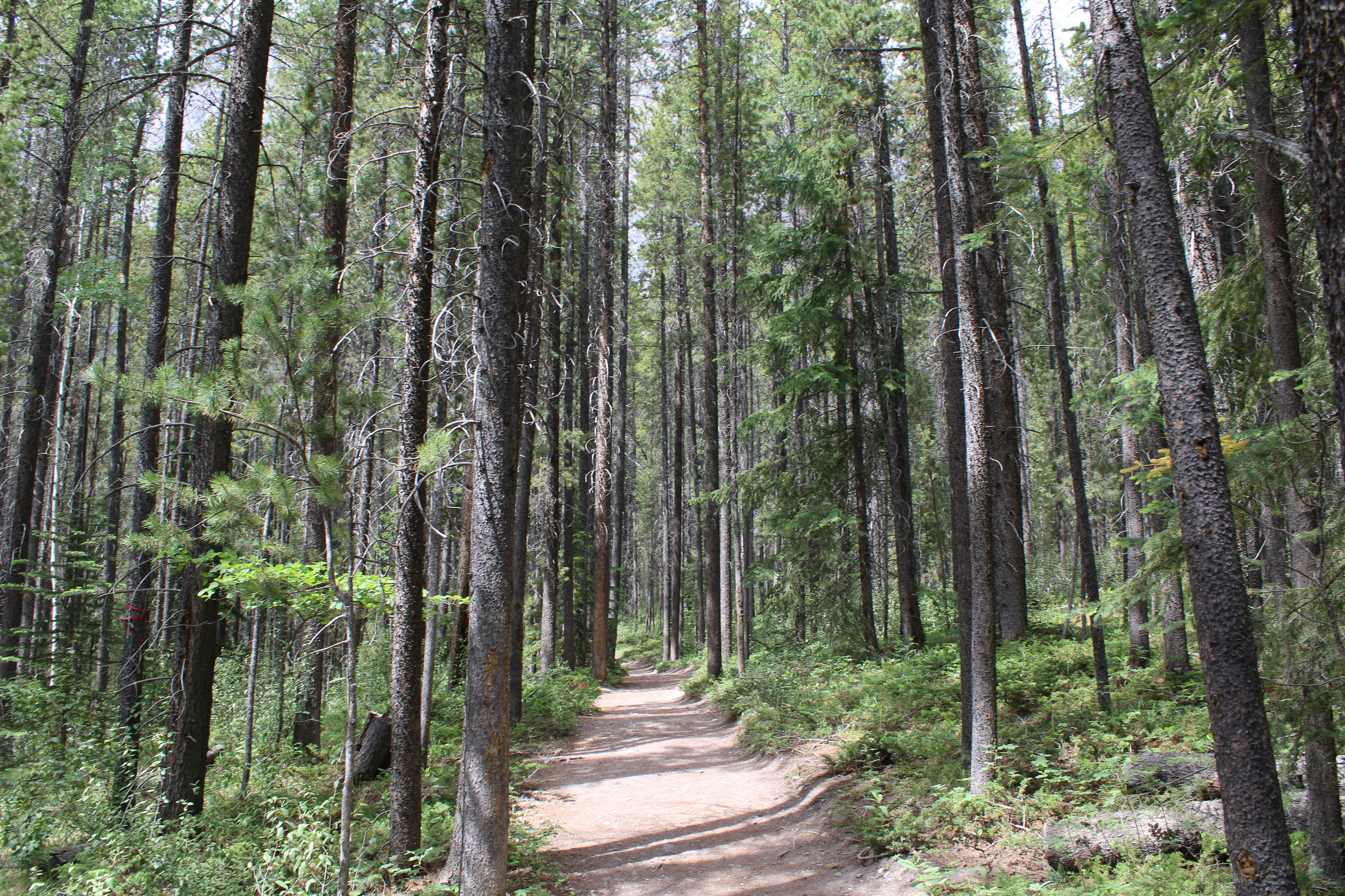 Photo by alisuliman106