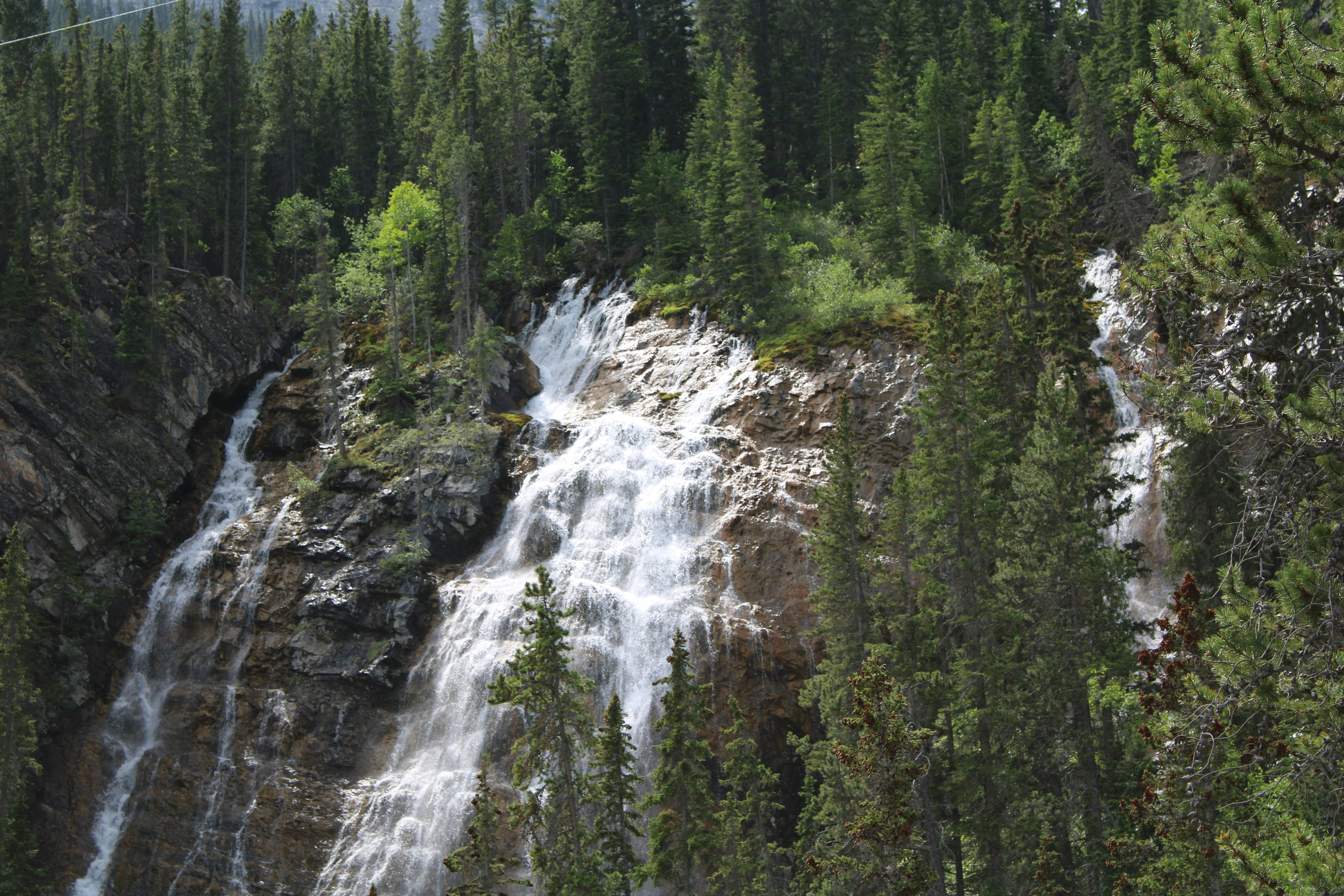 Photo by alisuliman106