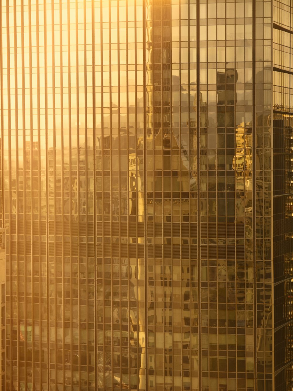 高層ビルから街を眺める