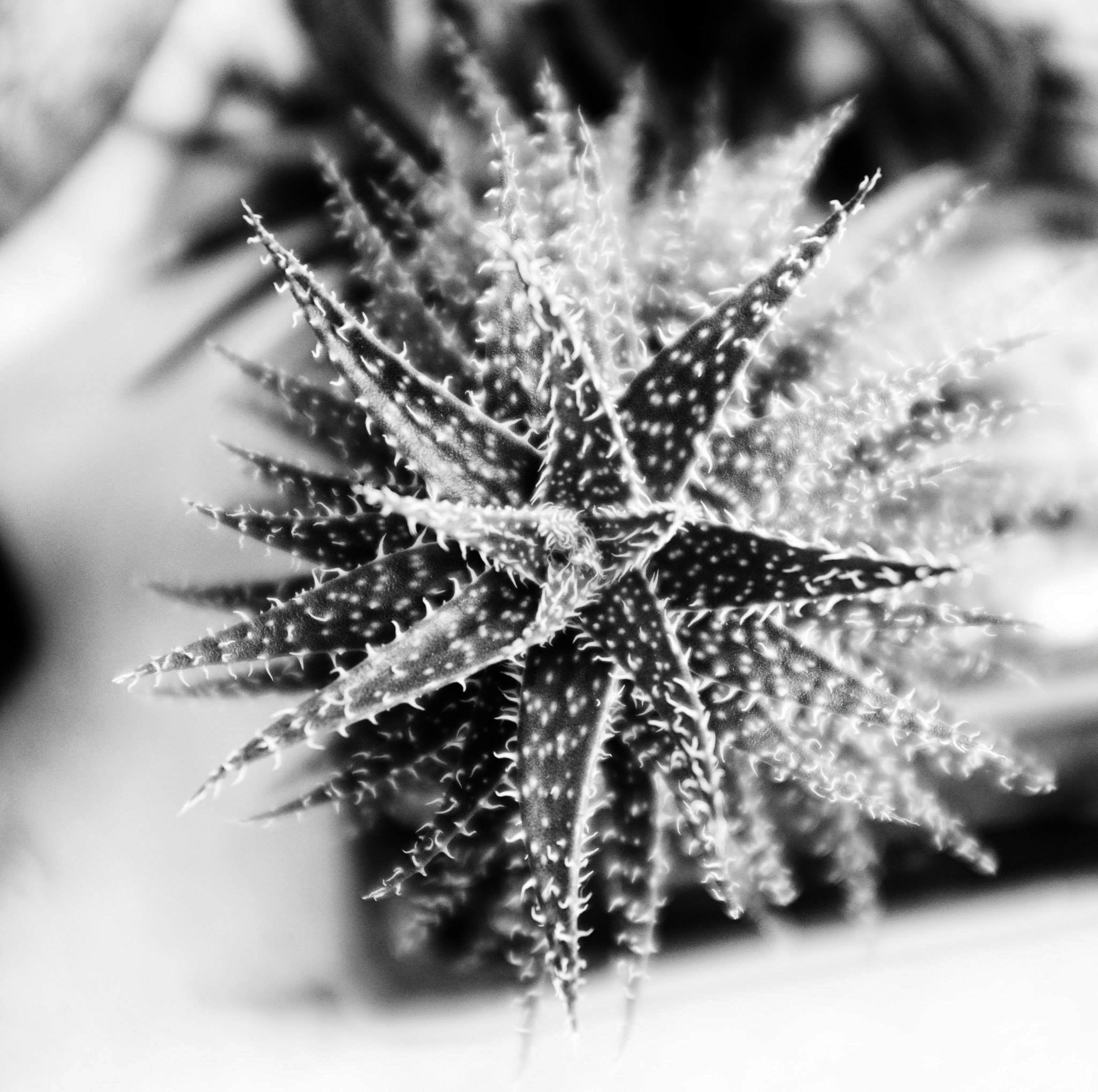 Photo by jonathankslim