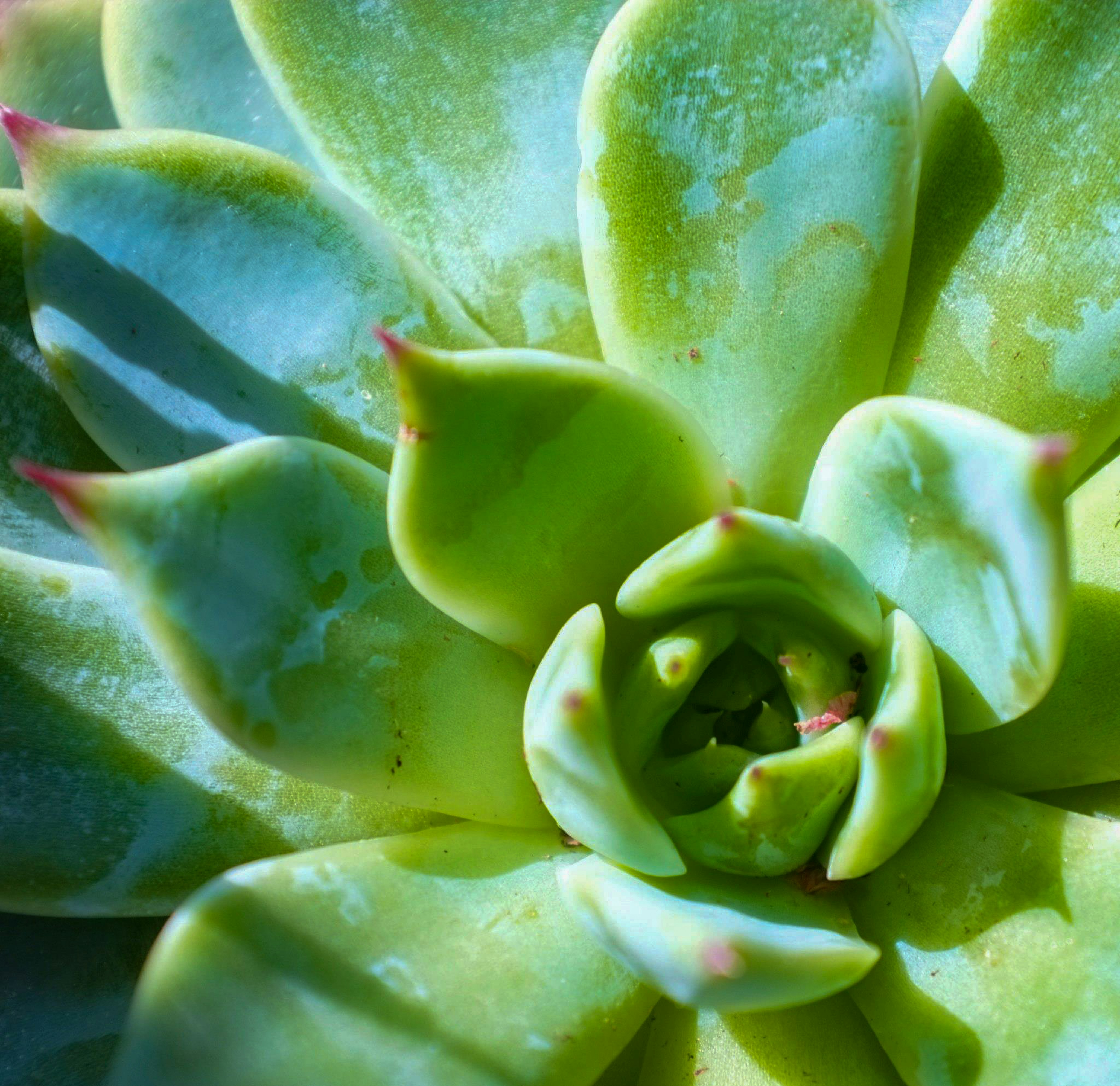 Photo by jonathankslim