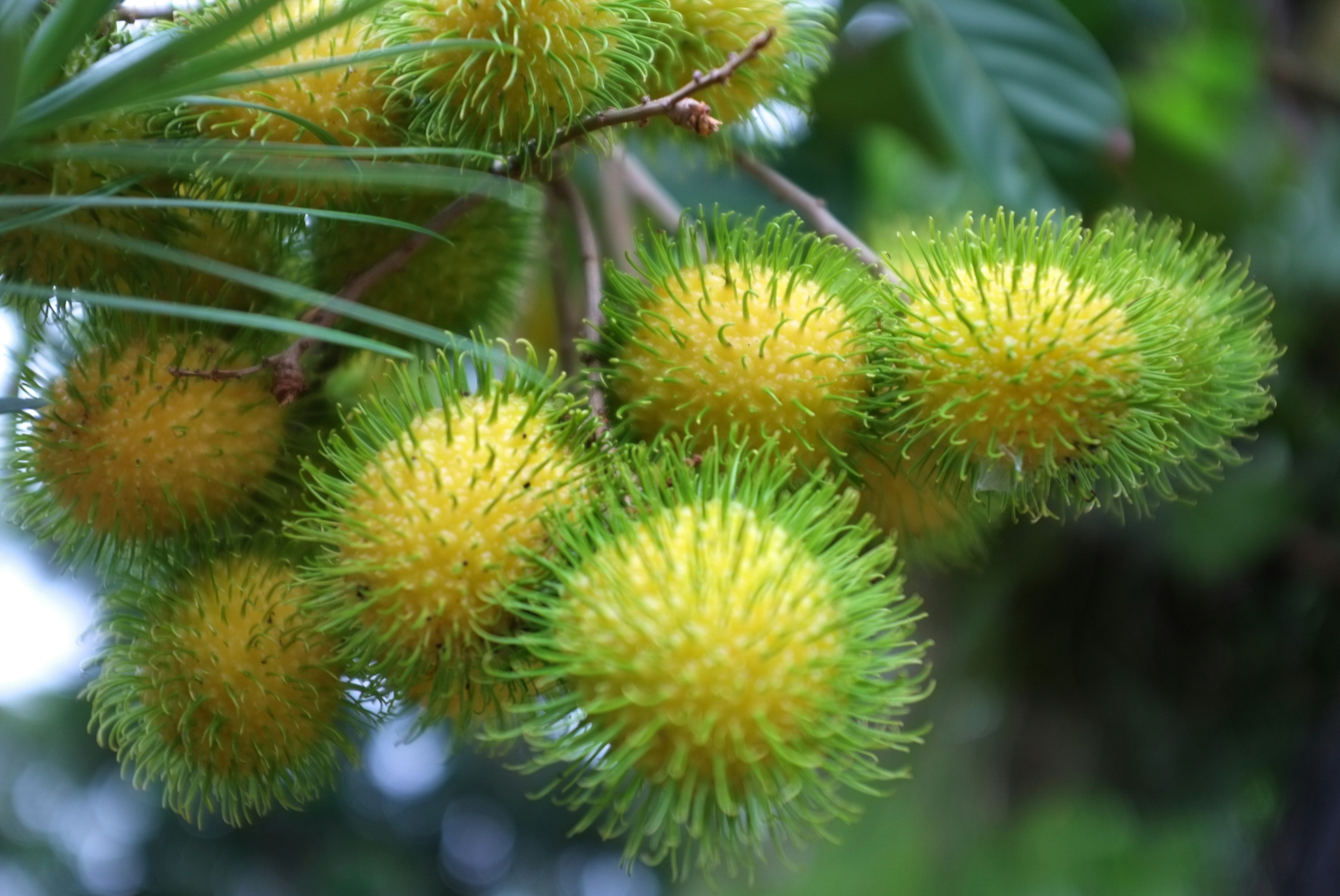 Photo by jonathankslim