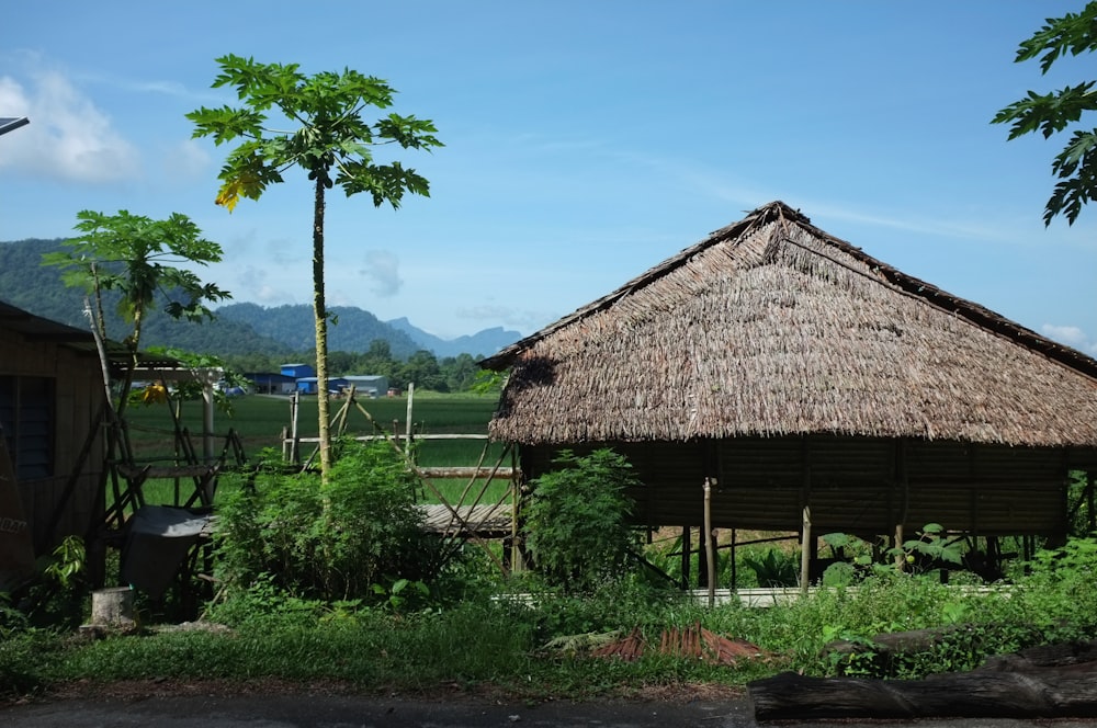 a hut with a thatched roof in the middle of a field