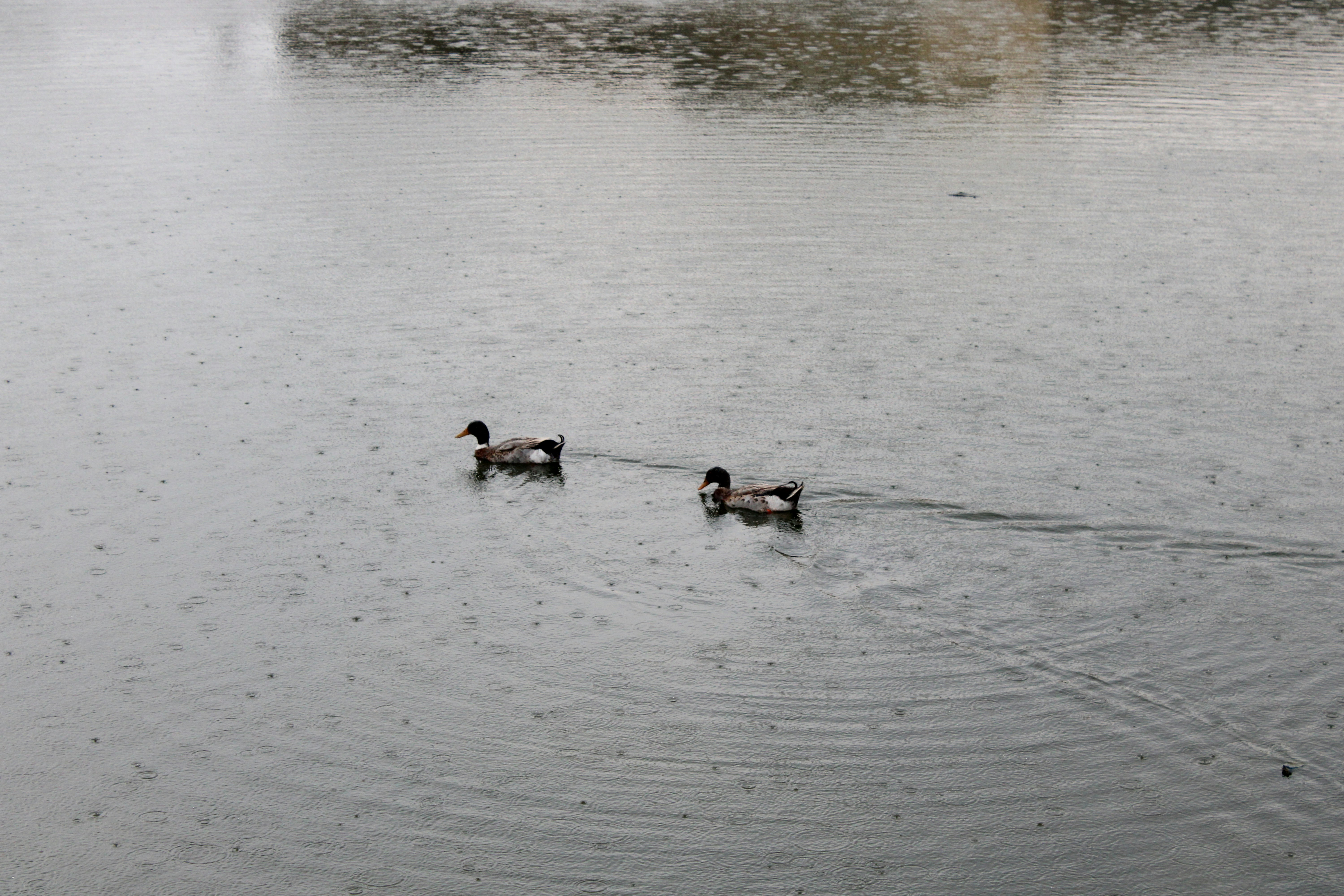 Photo by photosbyfaheem