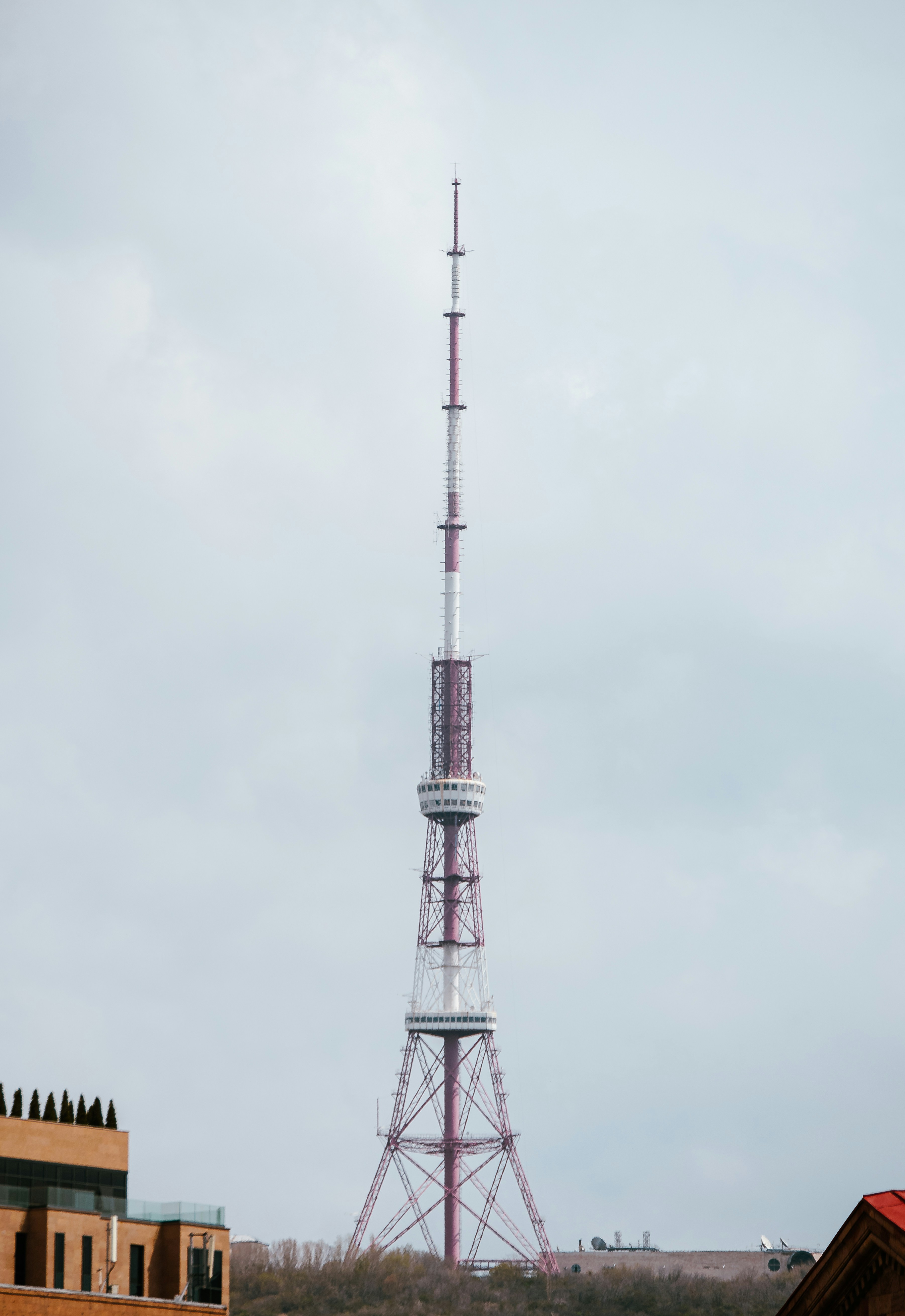 Photo by joejojoestar