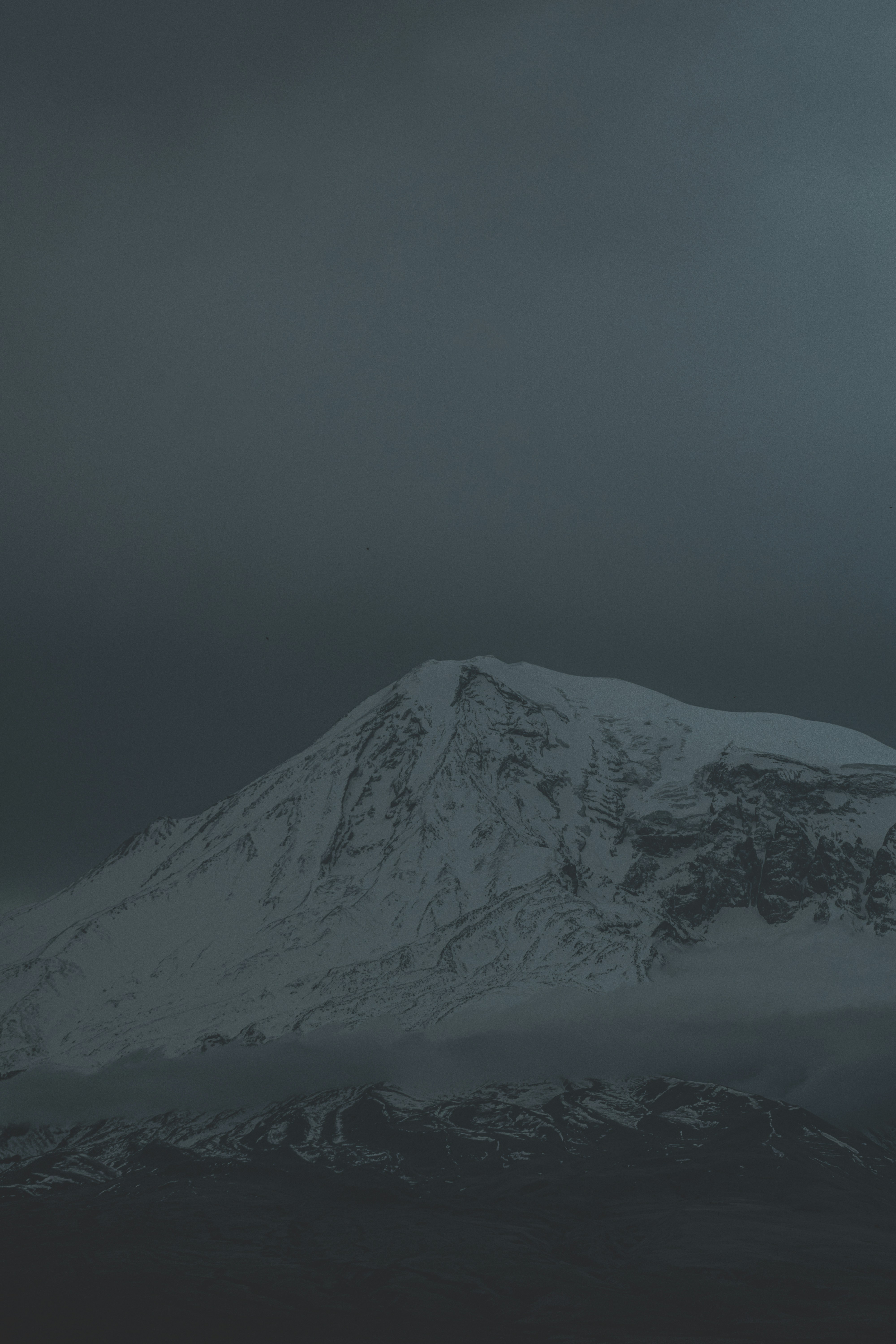 Photo by joejojoestar