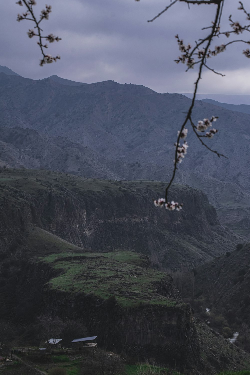 un par de ovejas de pie en la cima de una exuberante ladera verde