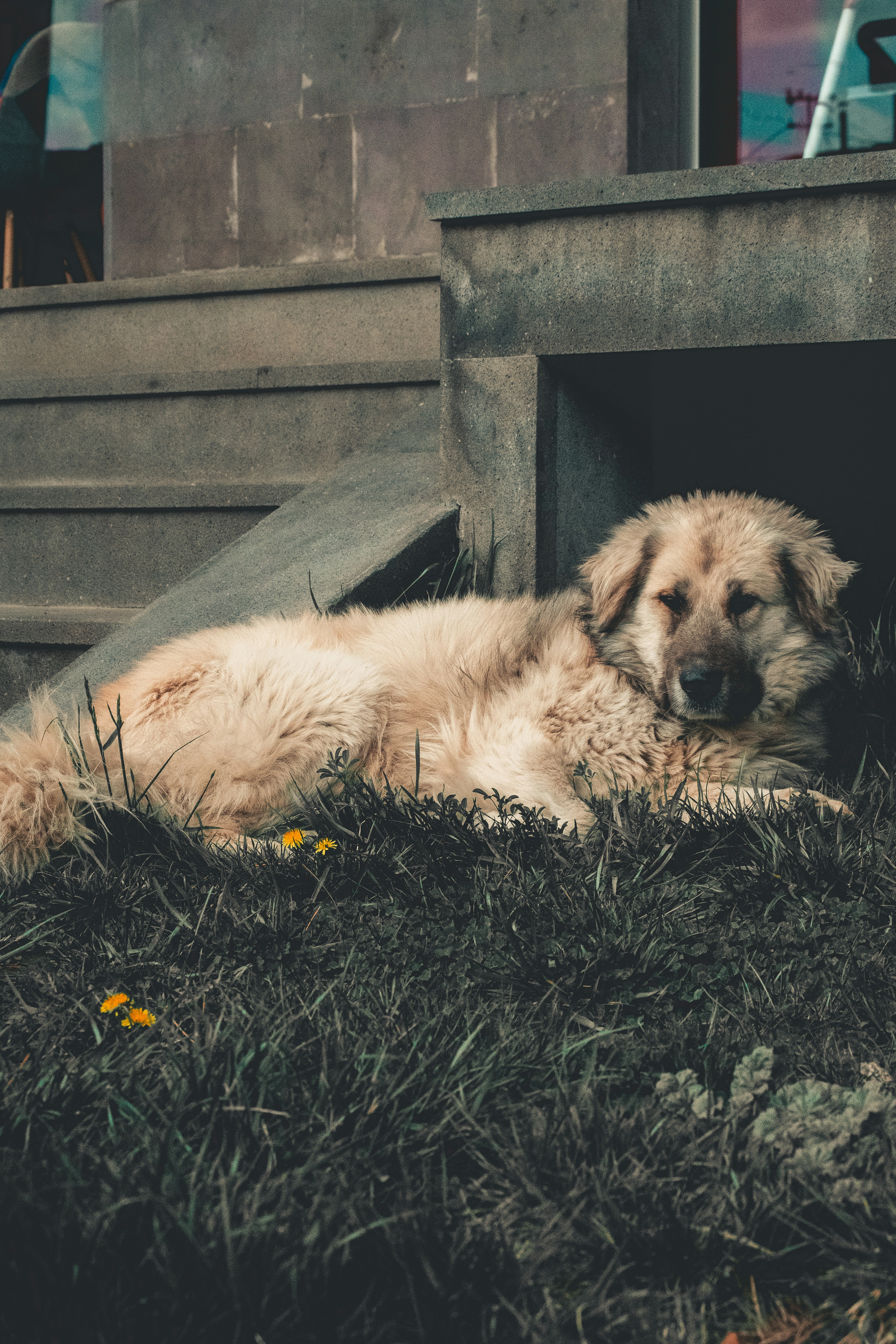 Photo by joejojoestar