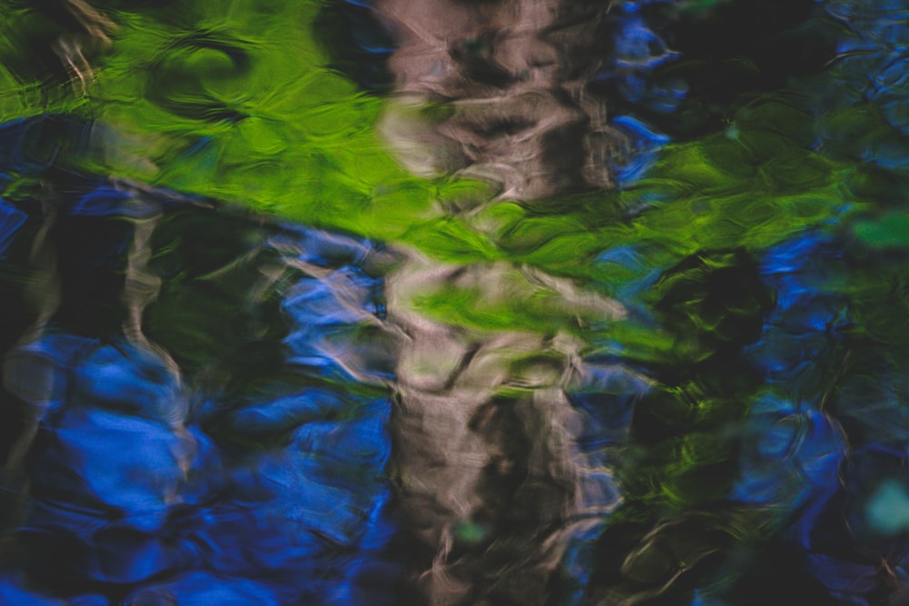 a blurry image of a tree in the water