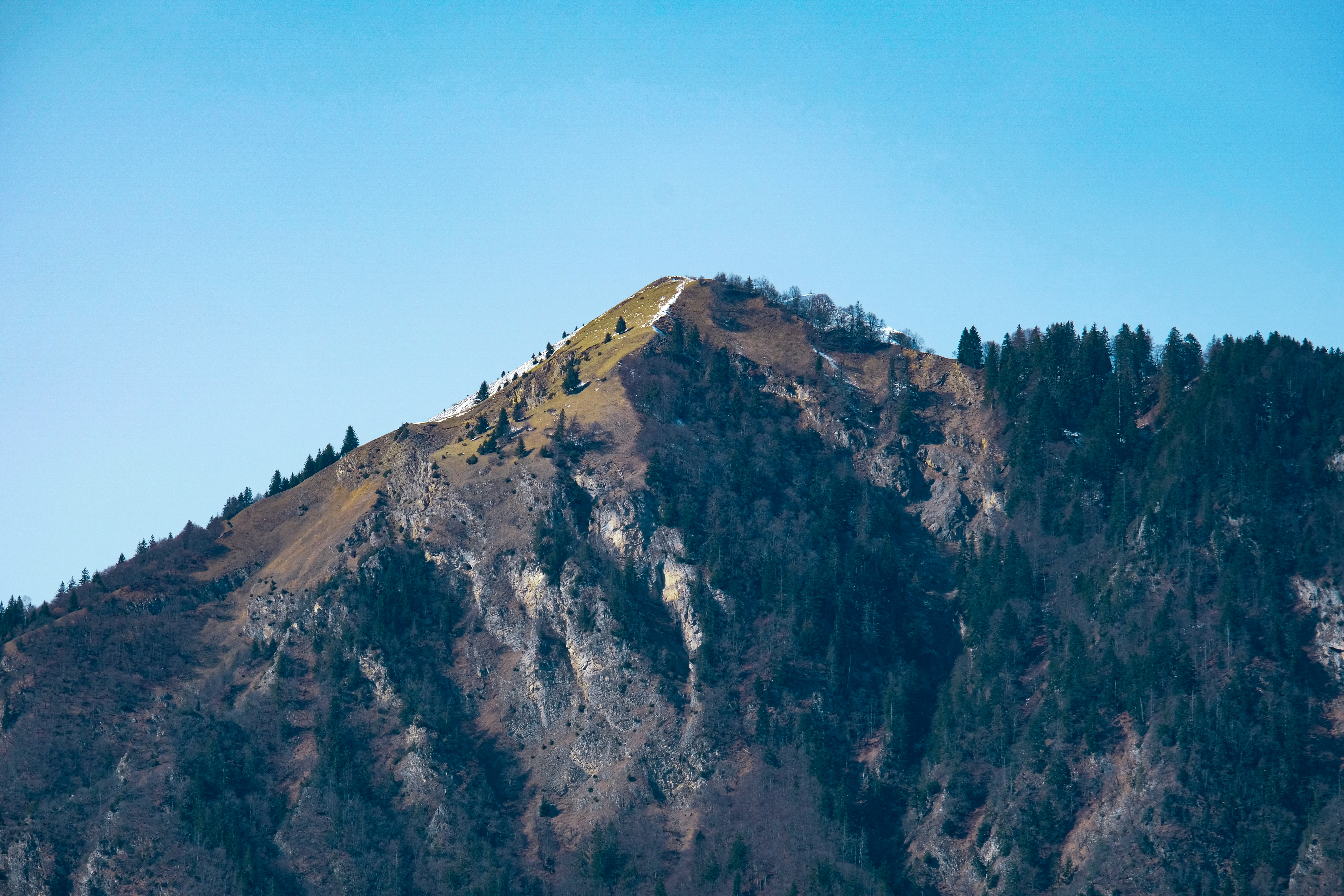 a very tall mountain with some trees on top of it