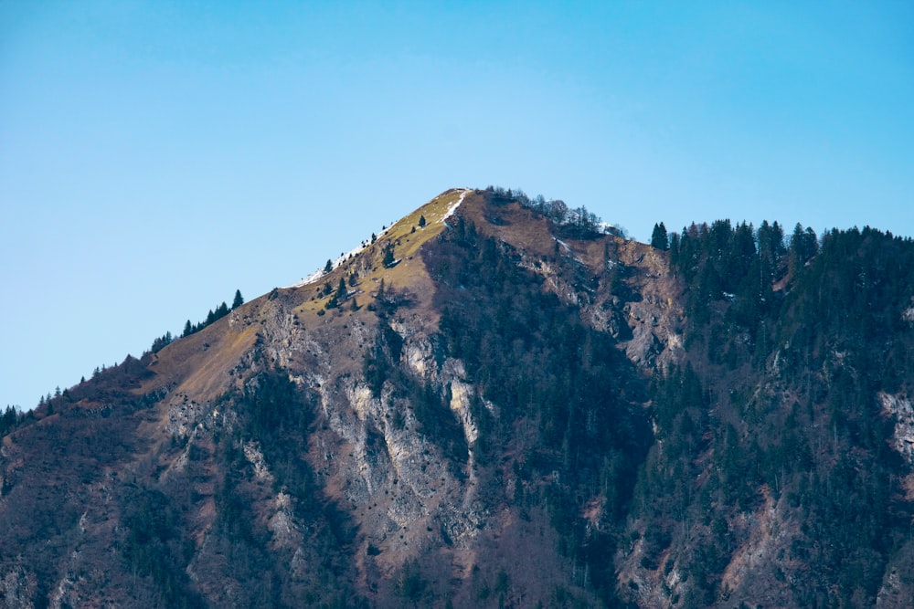 a very tall mountain with some trees on top of it