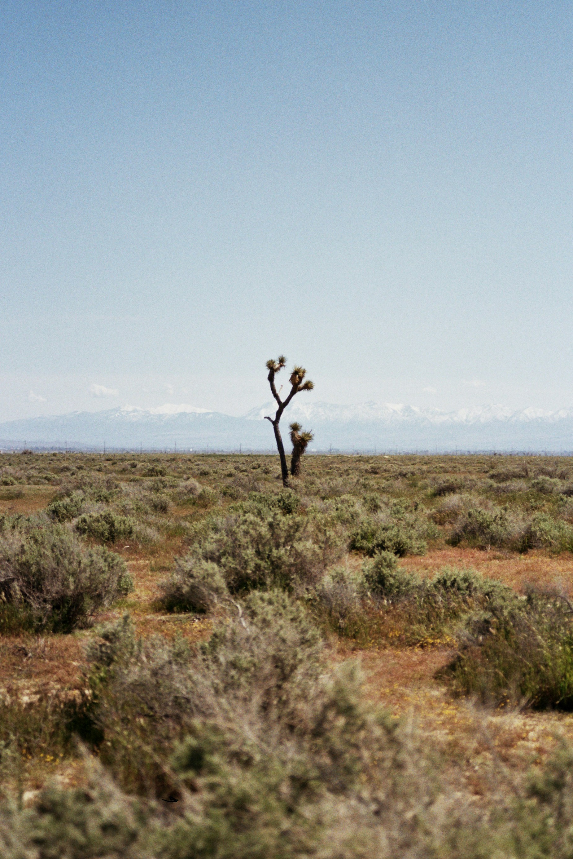 Photo by imgavinwilson