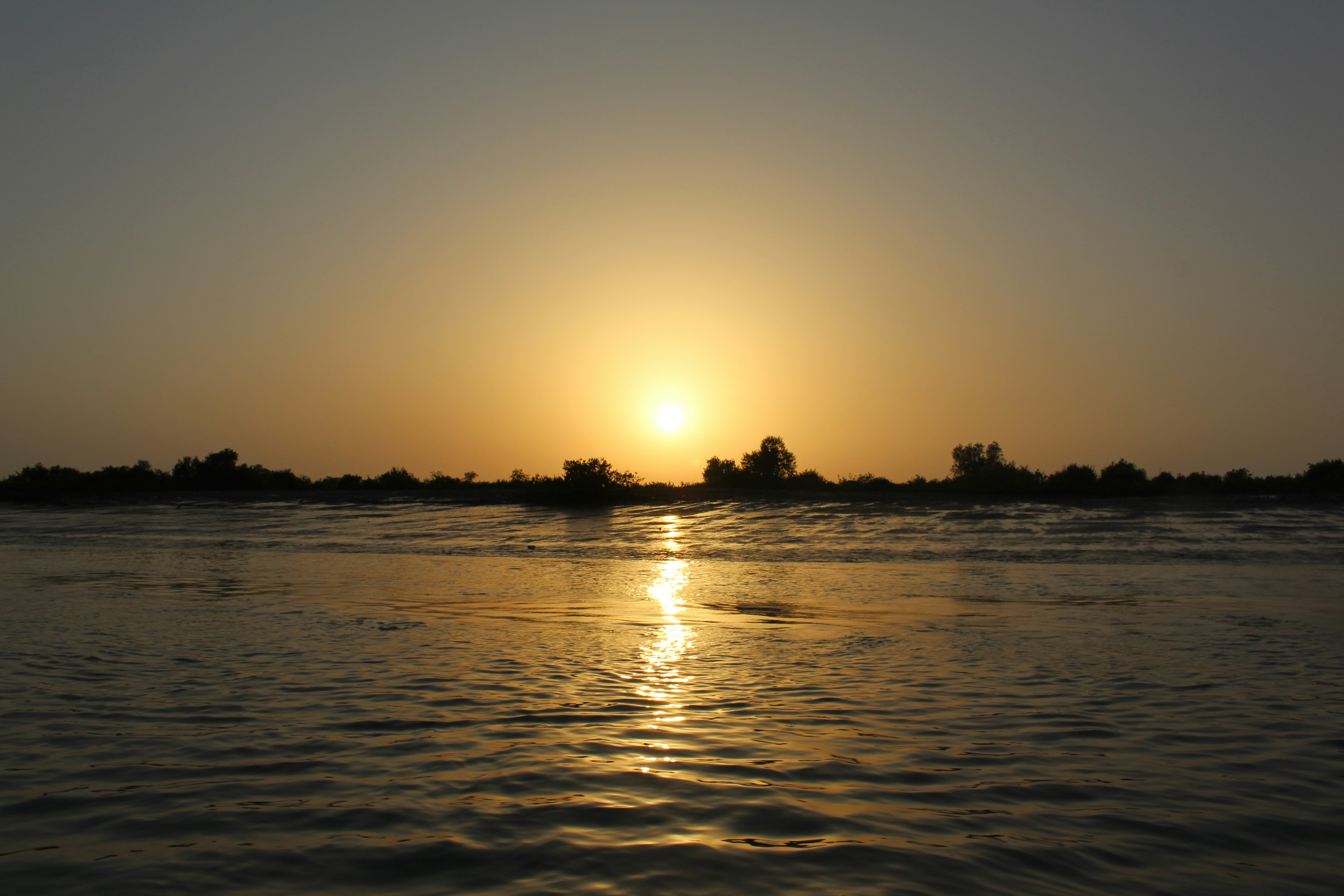 Photo by farid_karimi